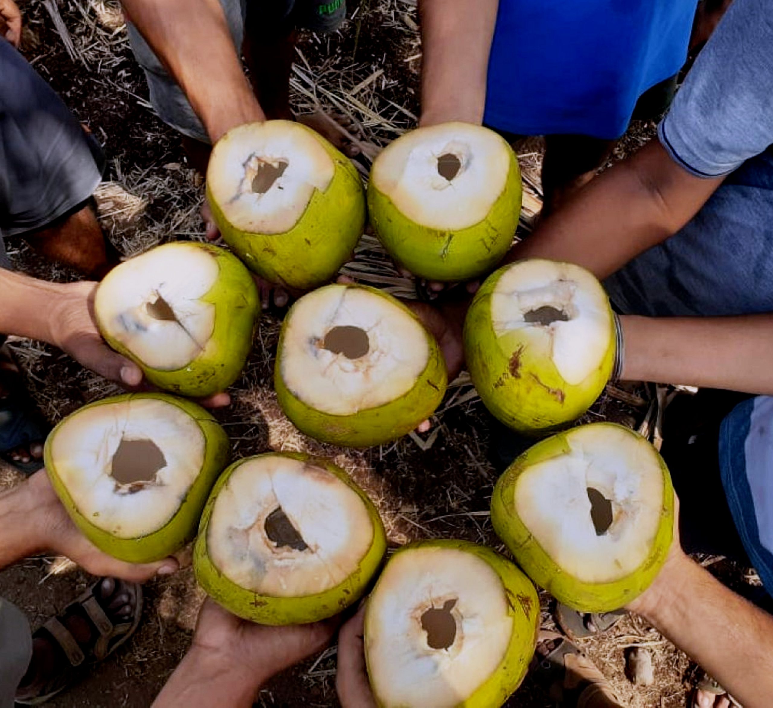 tender coconuts