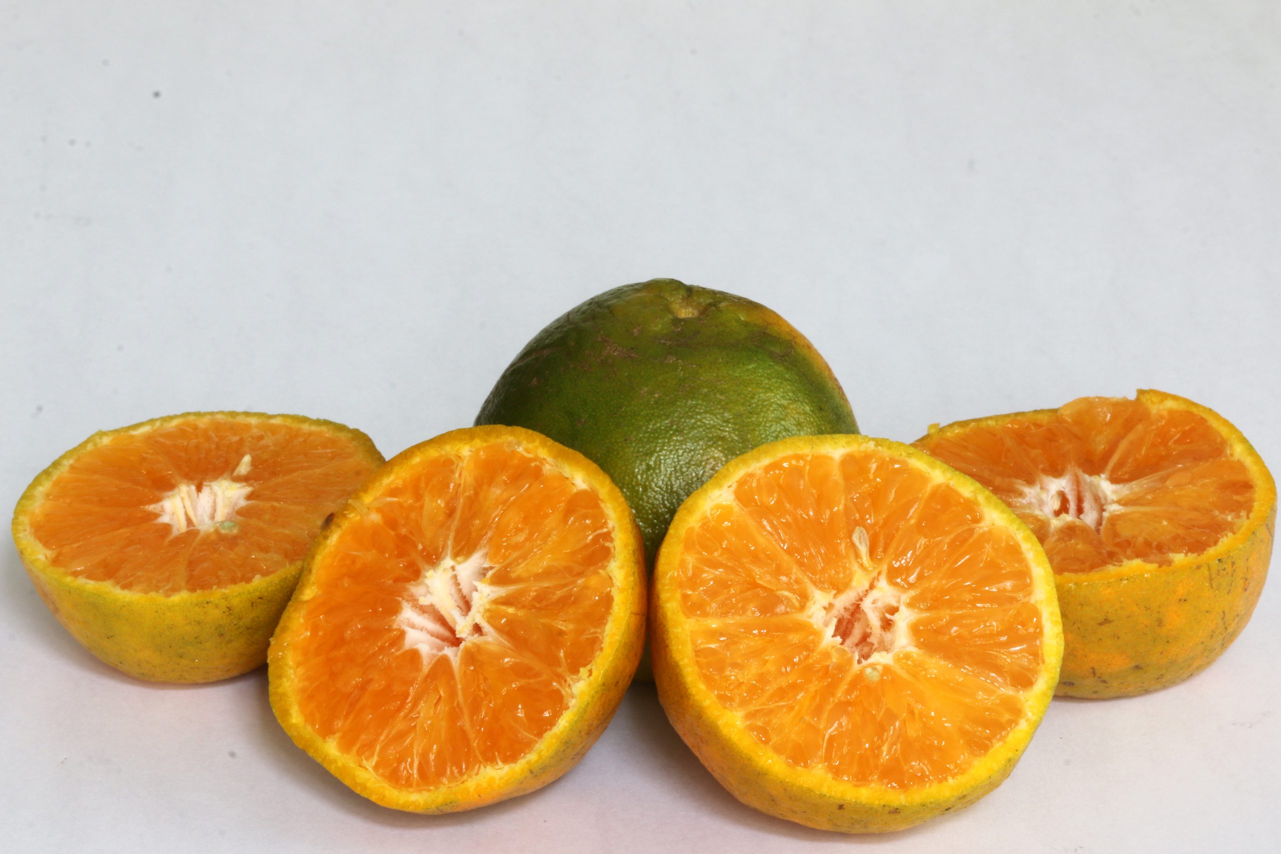 sliced orange