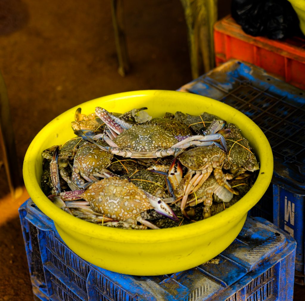 Crabs for sale - PixaHive