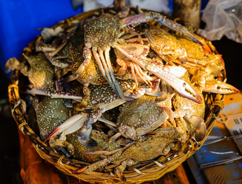 Crabs for sale PixaHive