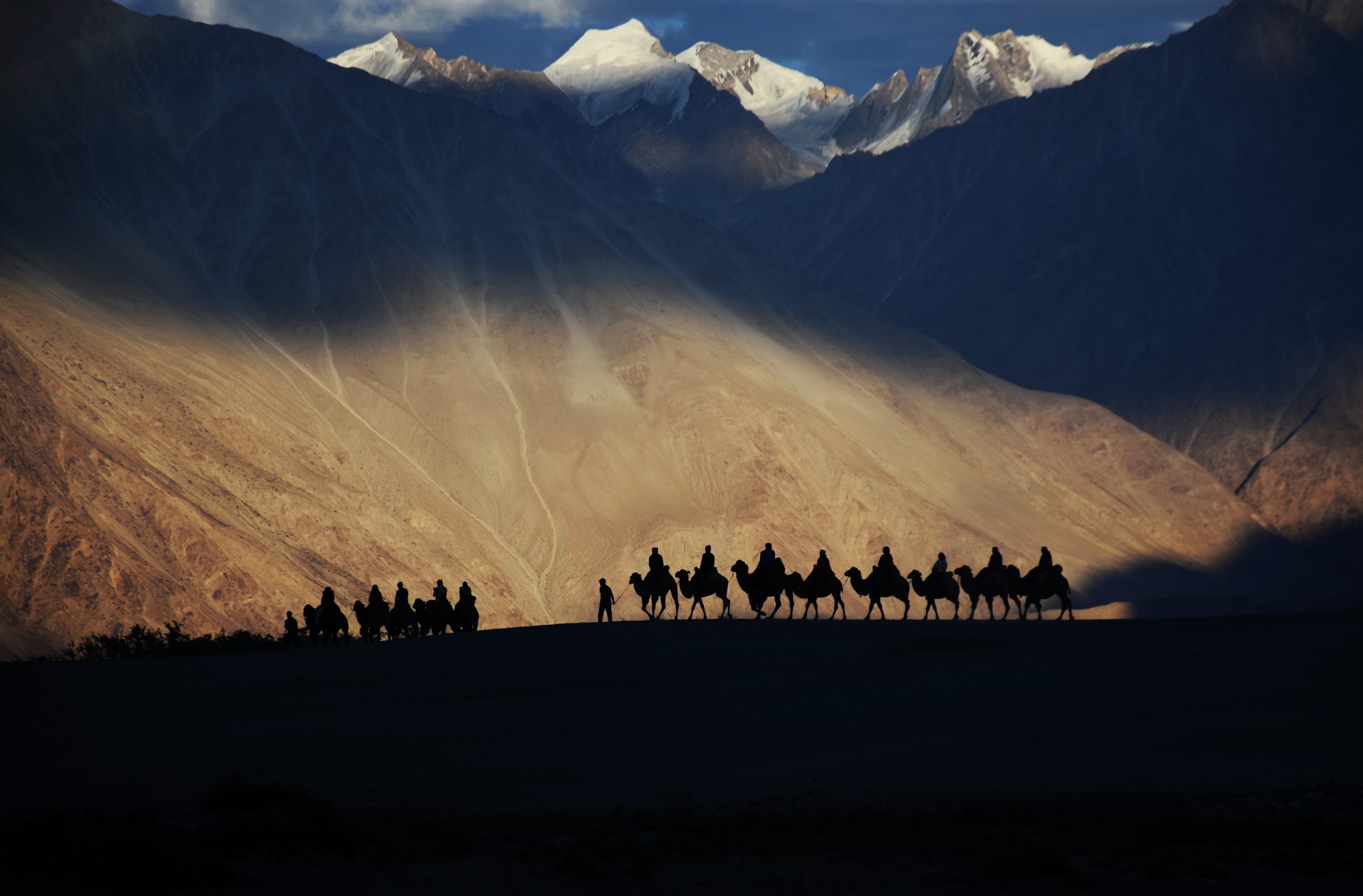 silhouette of people riding camels