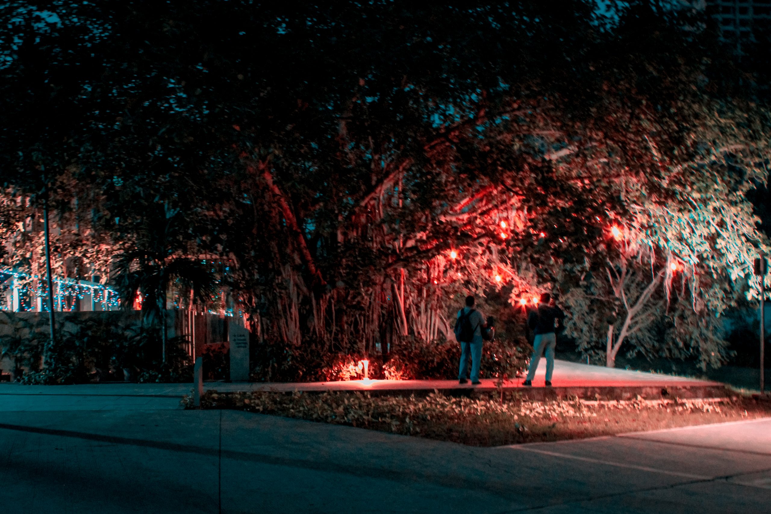 People in a park