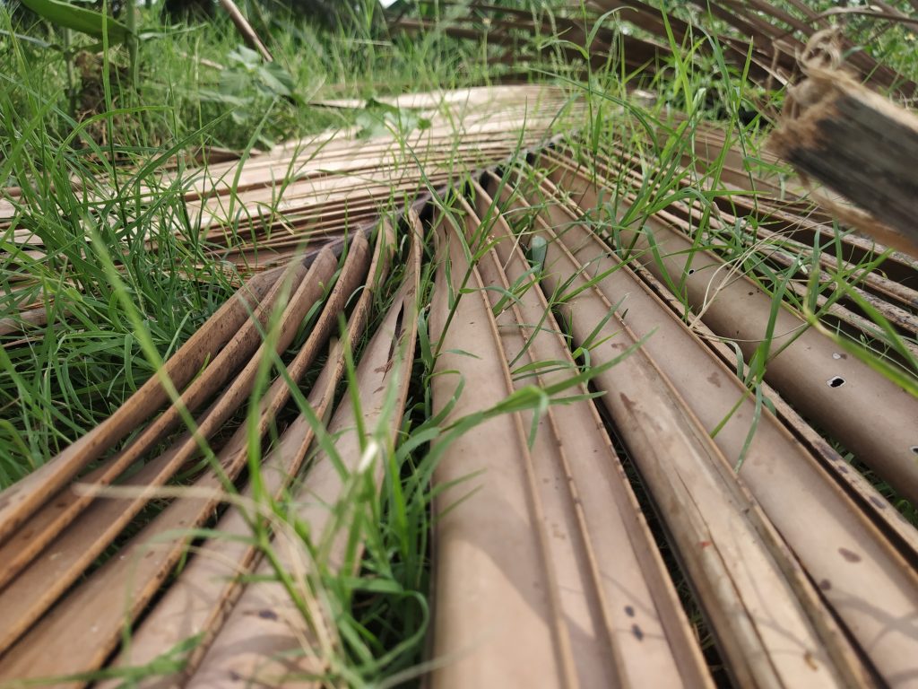 Dry coconut tree leaves PixaHive