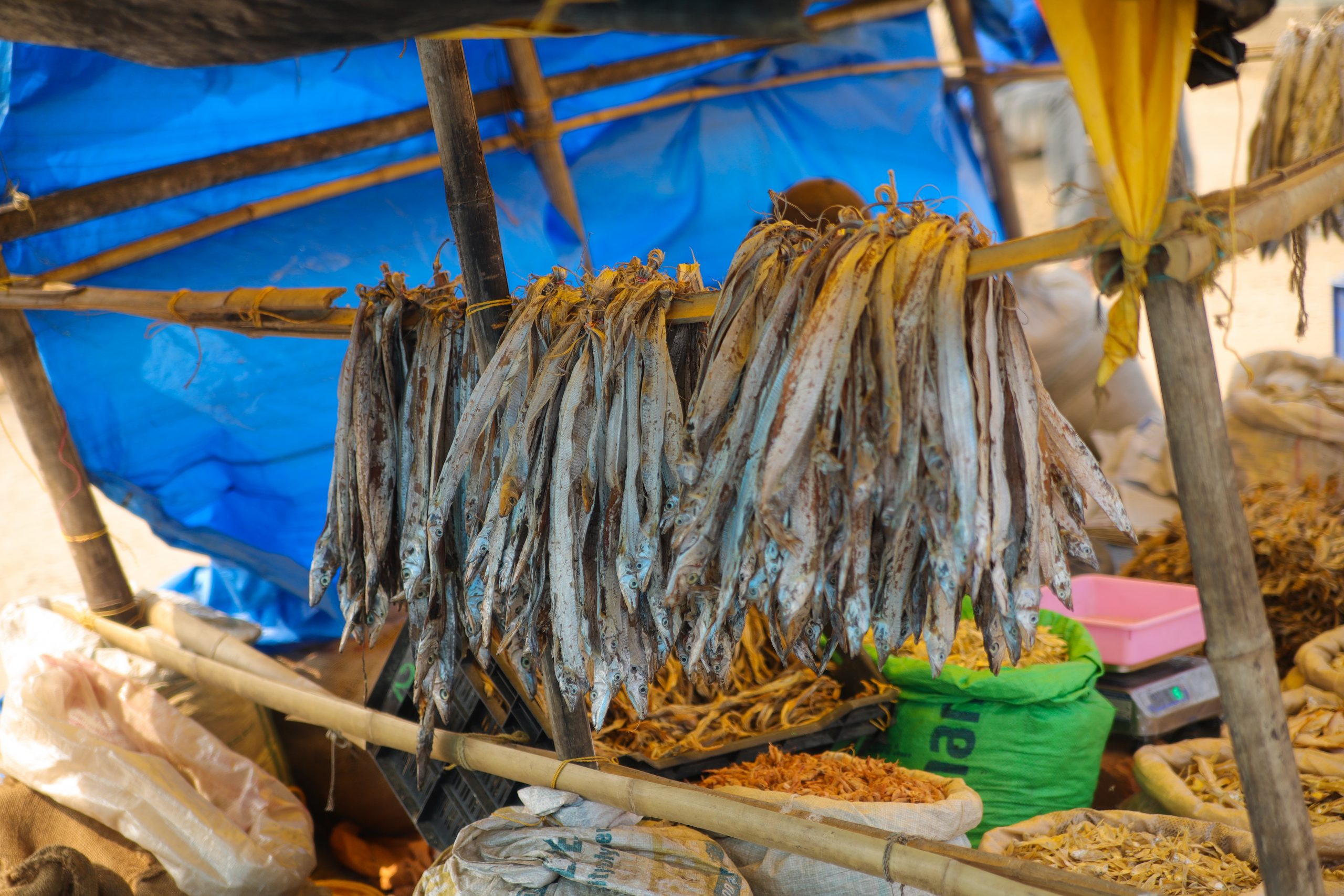 Fish in a market