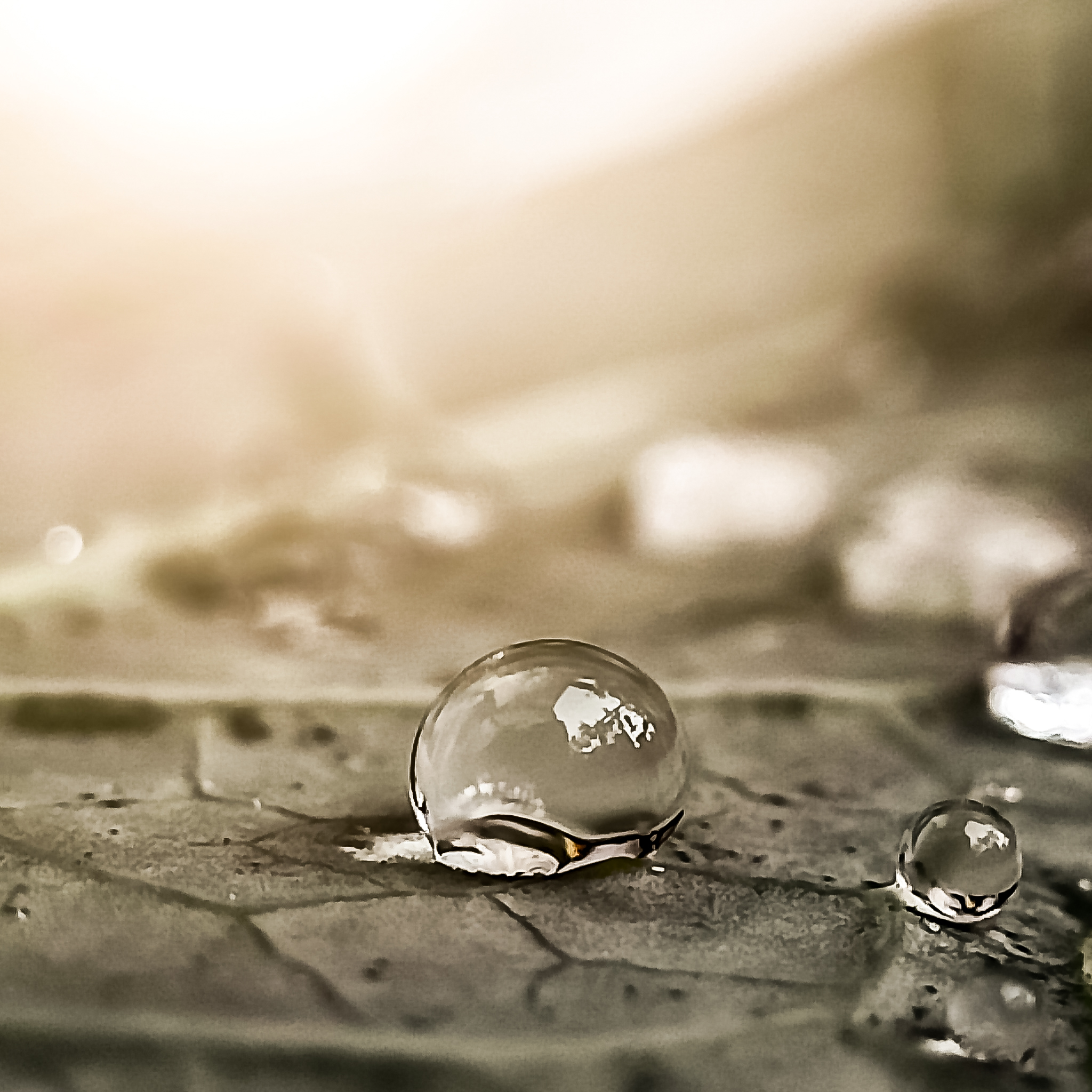 water drop on a leaf