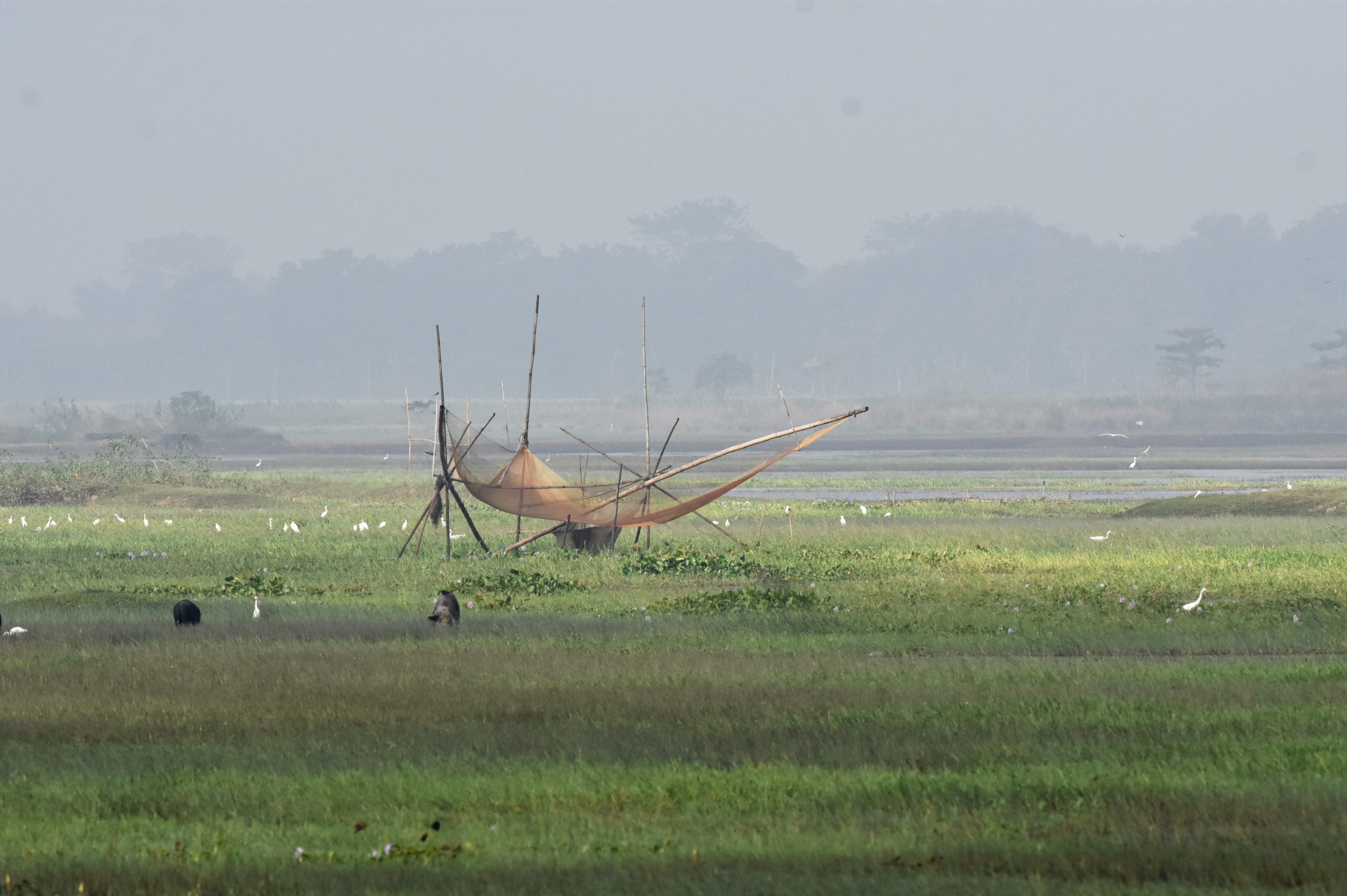 A fishing net in grass land