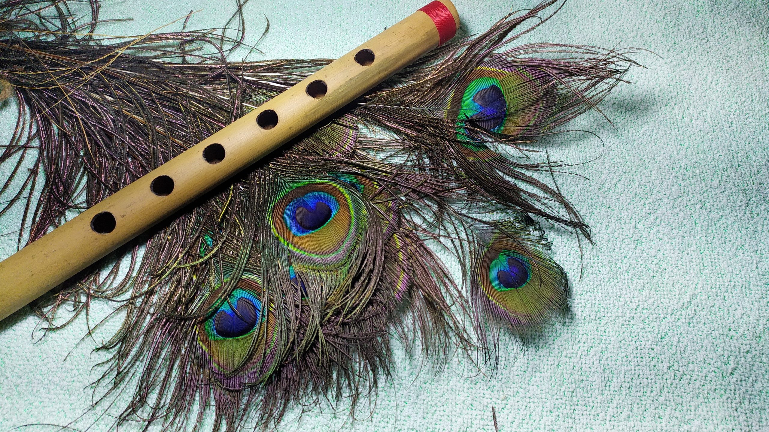 Flute and feather