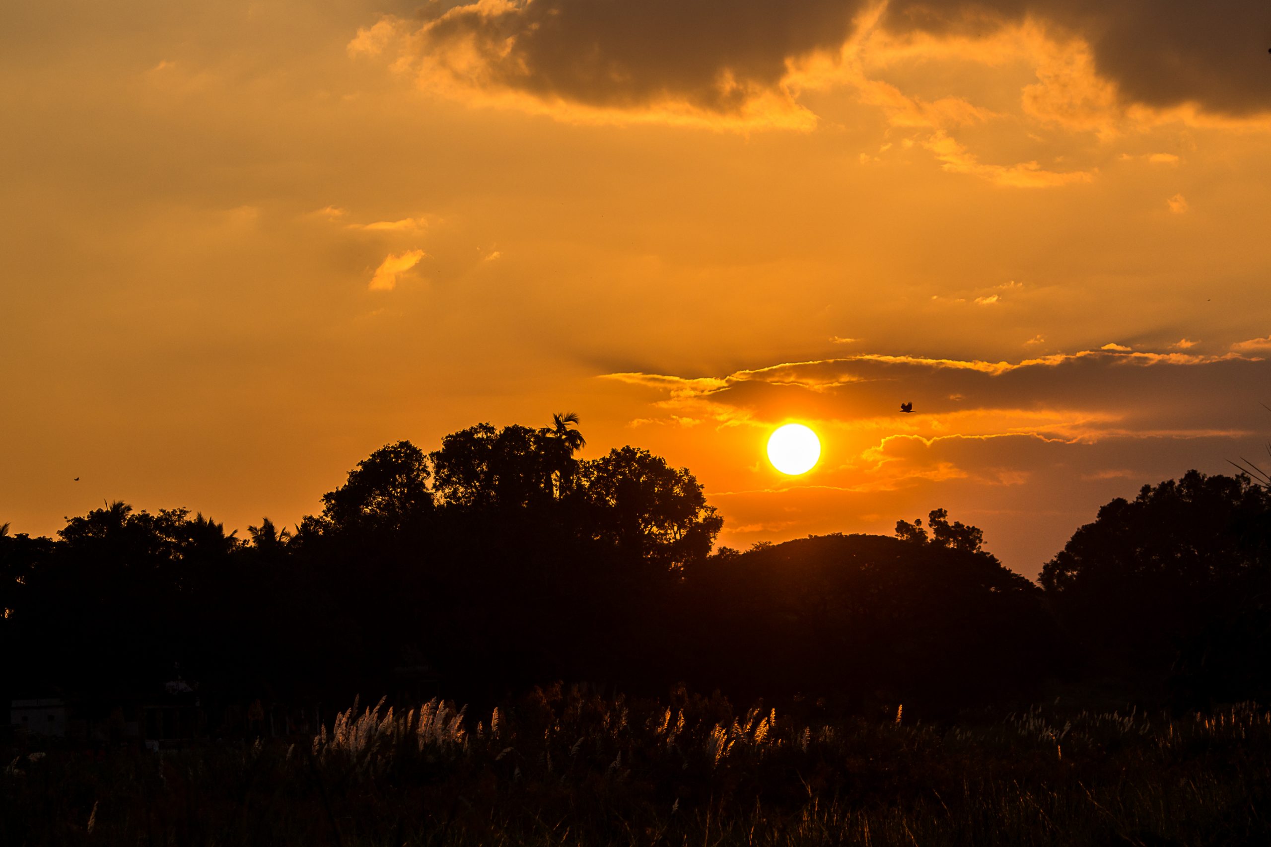 sunset and silhouettes