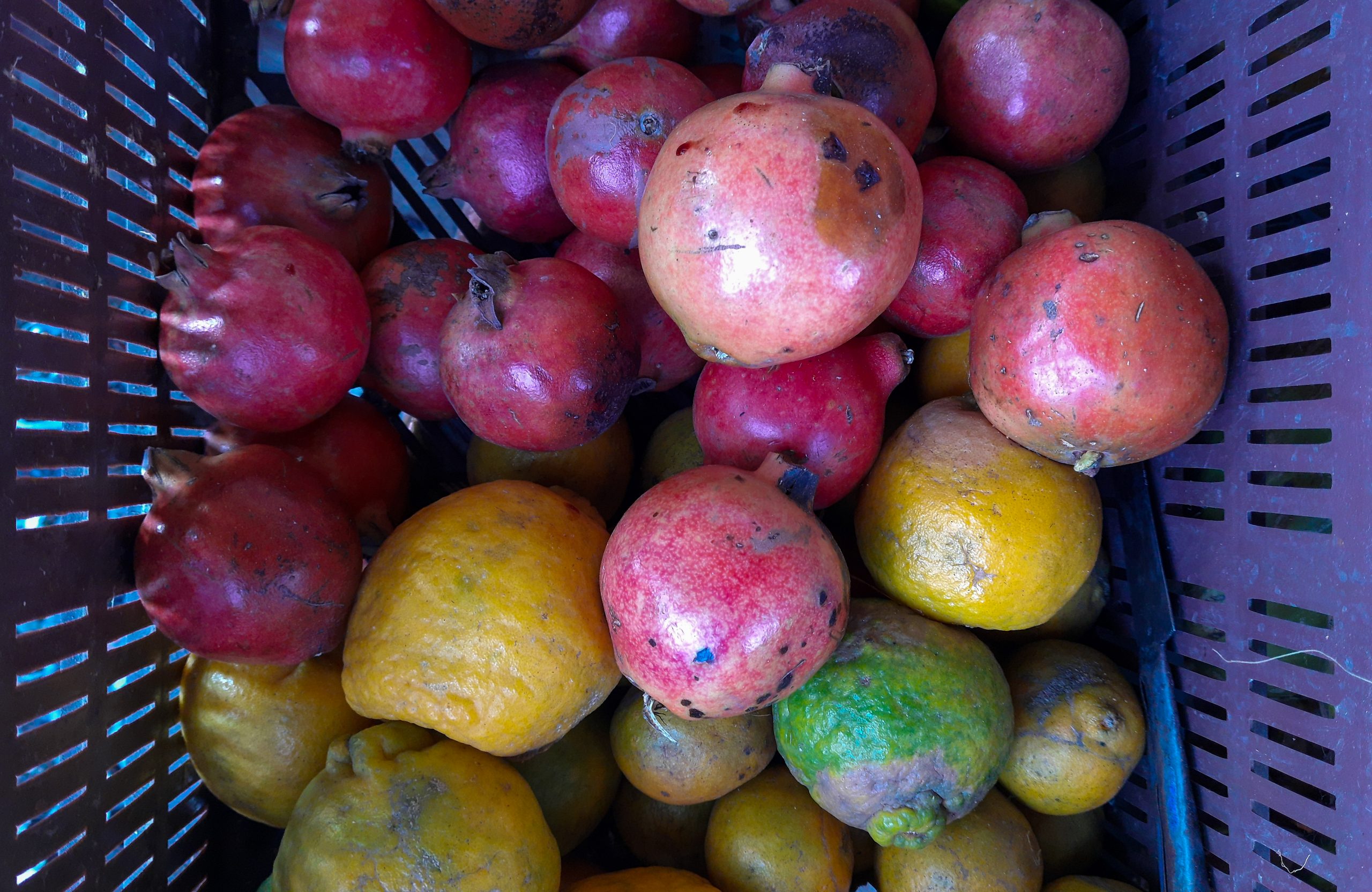 Fresh fruits in a basket