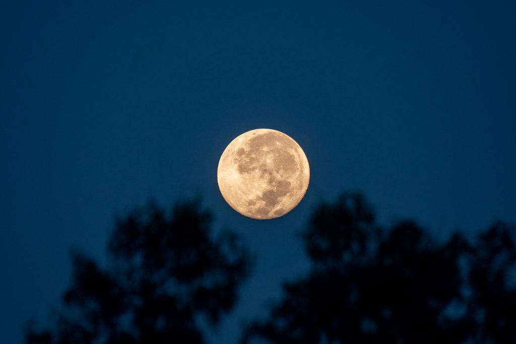 Full moon behind the trees - PixaHive