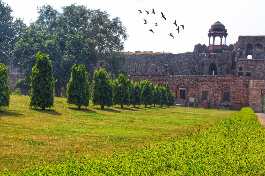 Greenery near a historic building PixaHive
