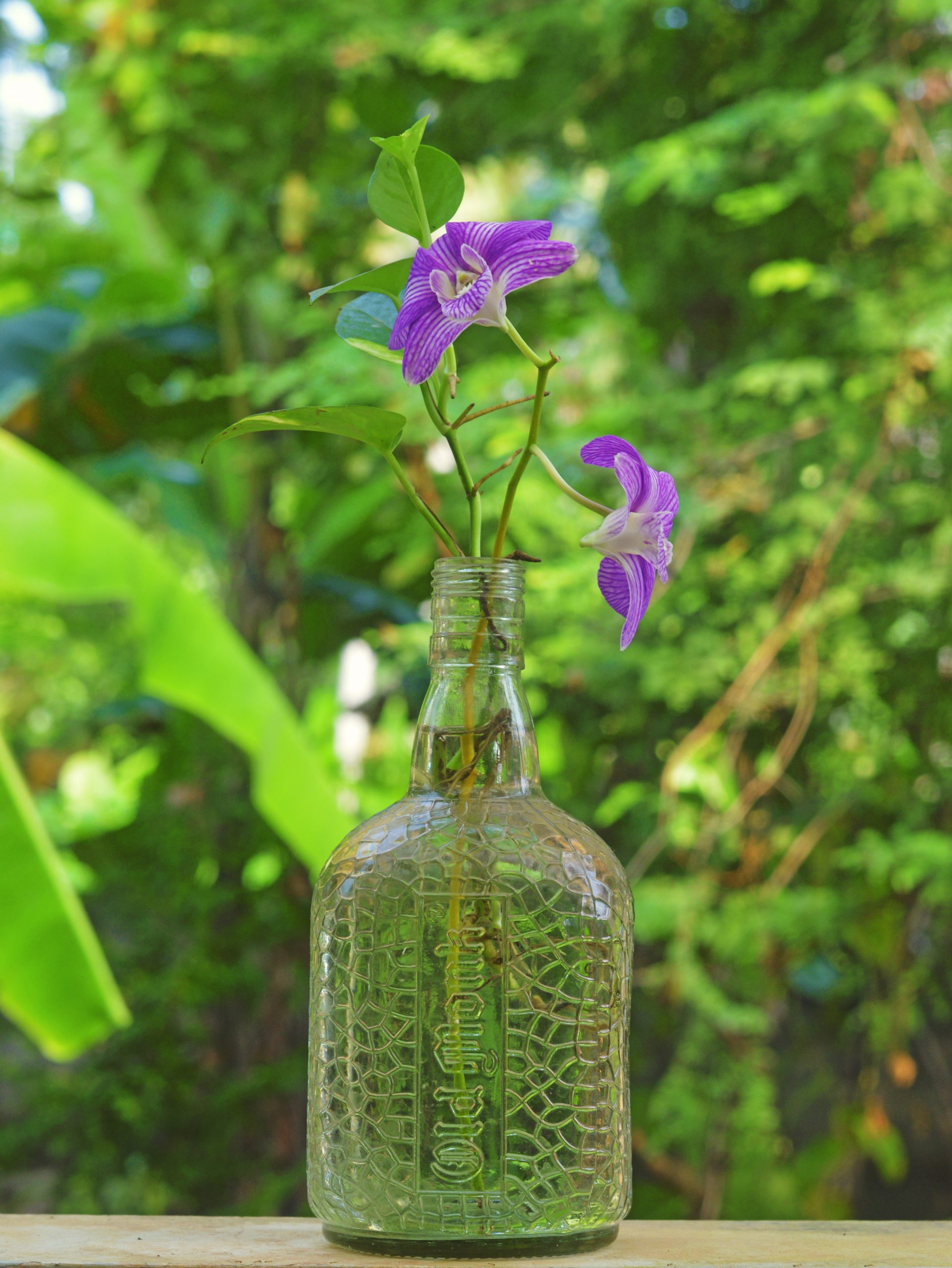 flower in a bottle