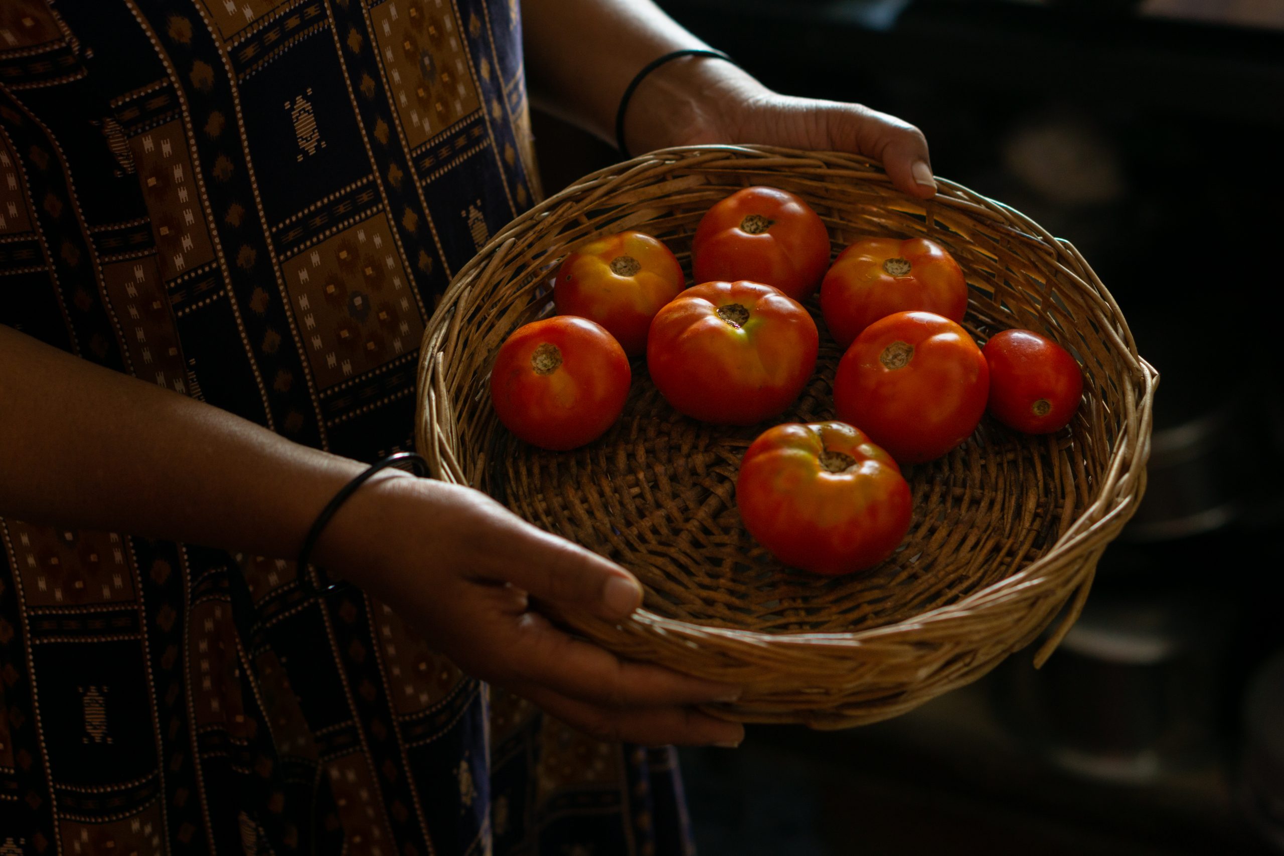 Tomatoes in basket