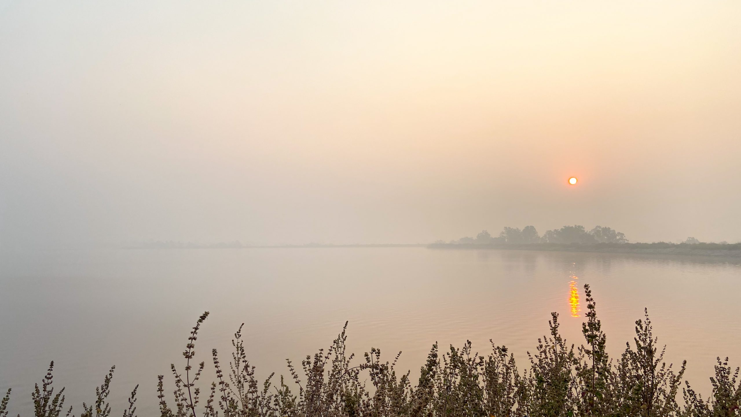 Morning lake view