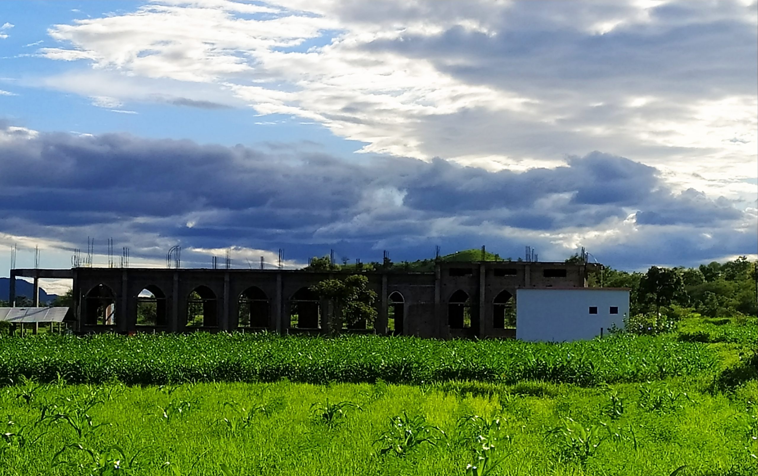 Agriculture field