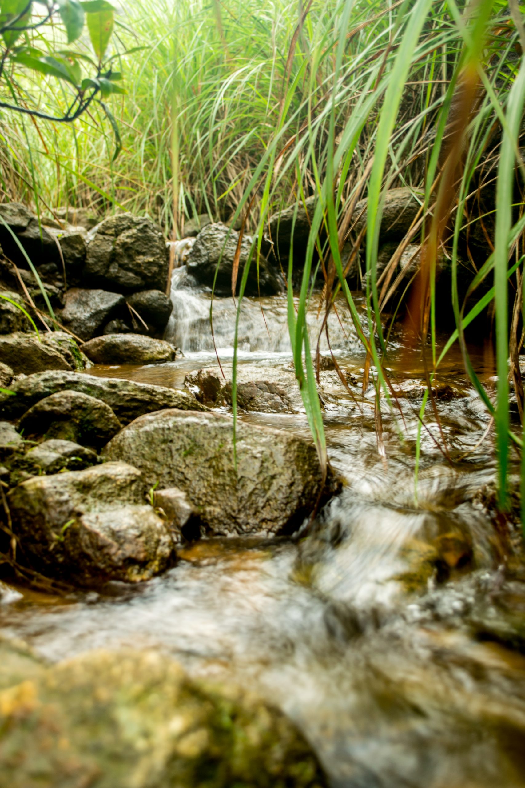 Water flowing through rocks