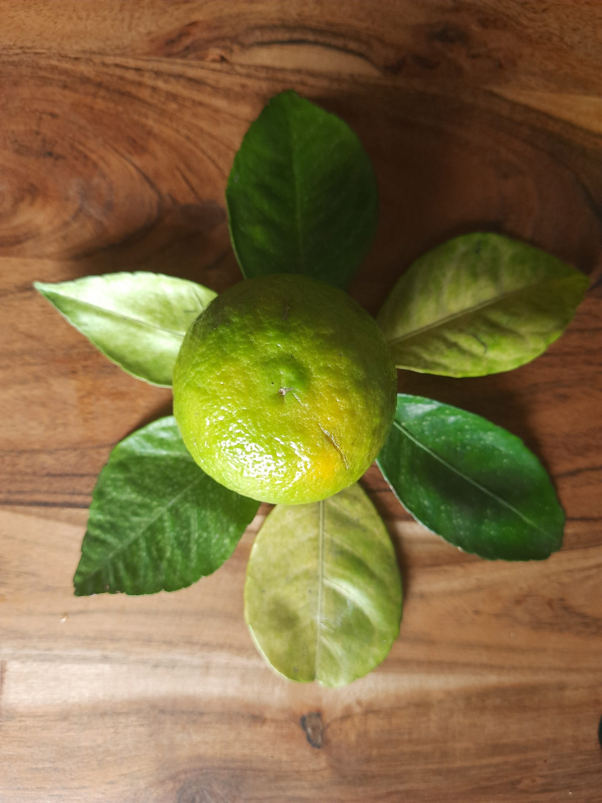 An orange and leaves