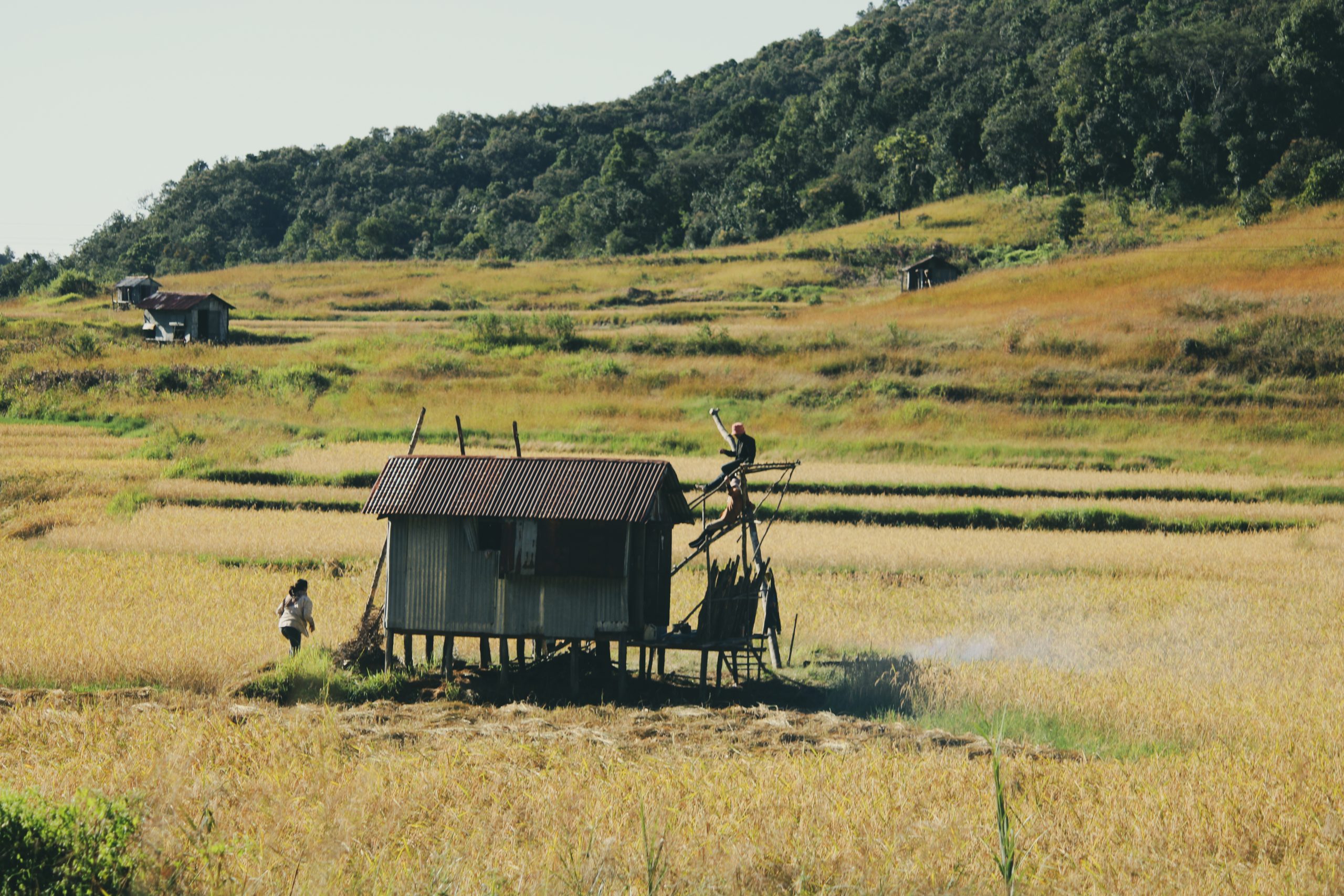A wooden cabin in fields