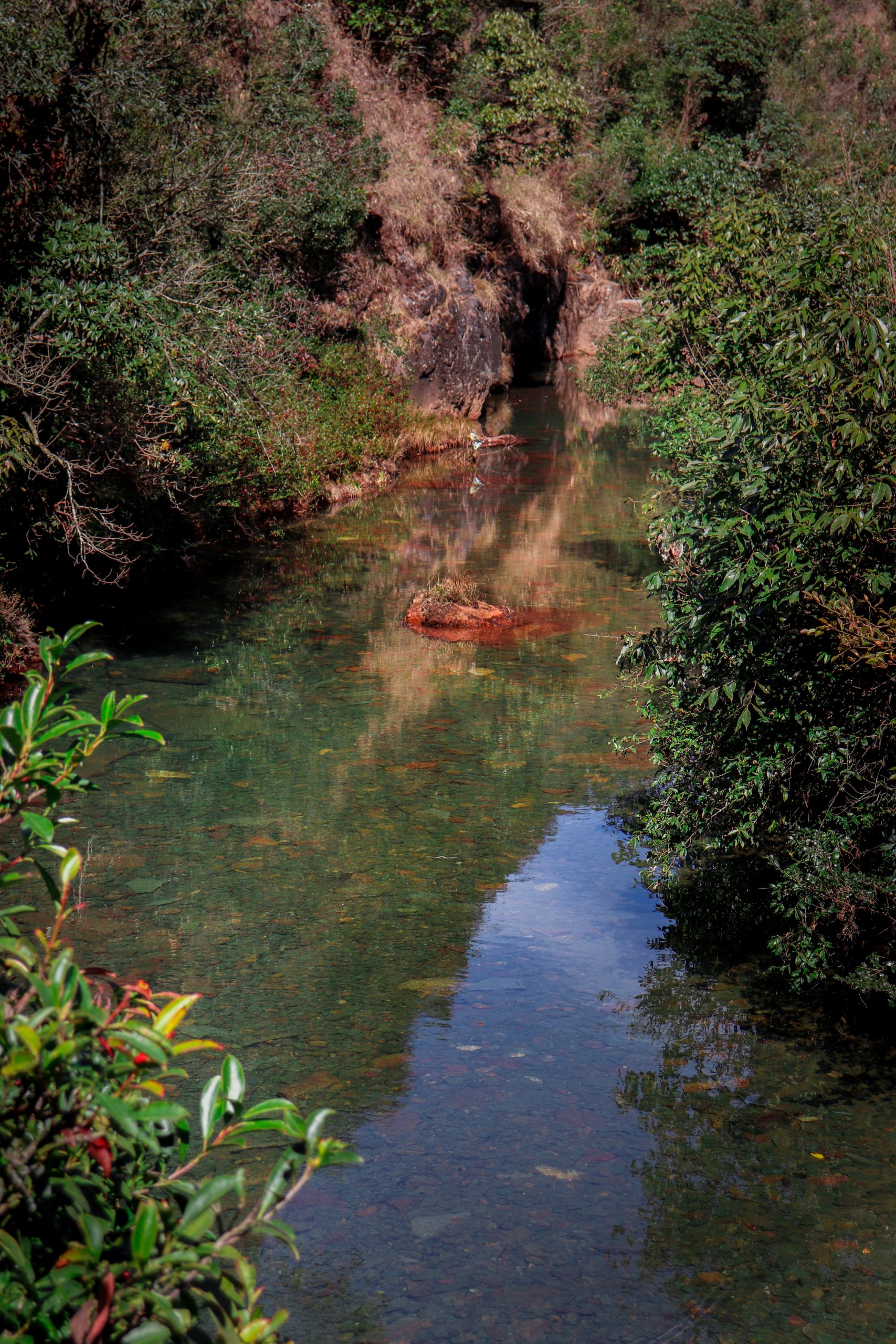 Nature Landscape