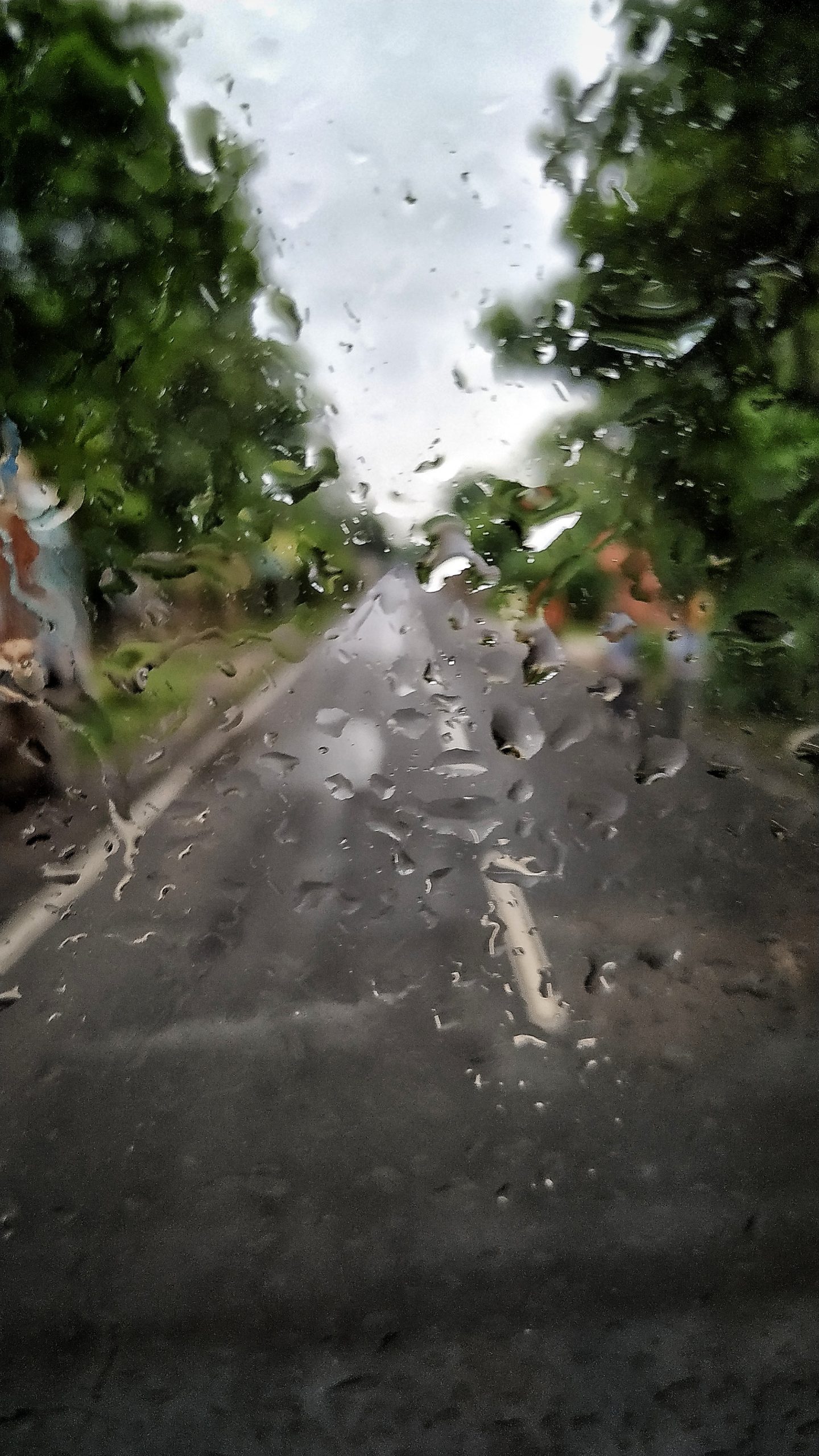 Rain drops on windshield