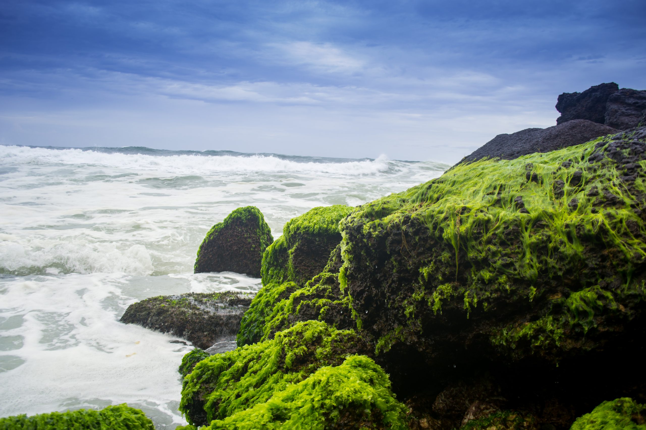 Sea water and rocks