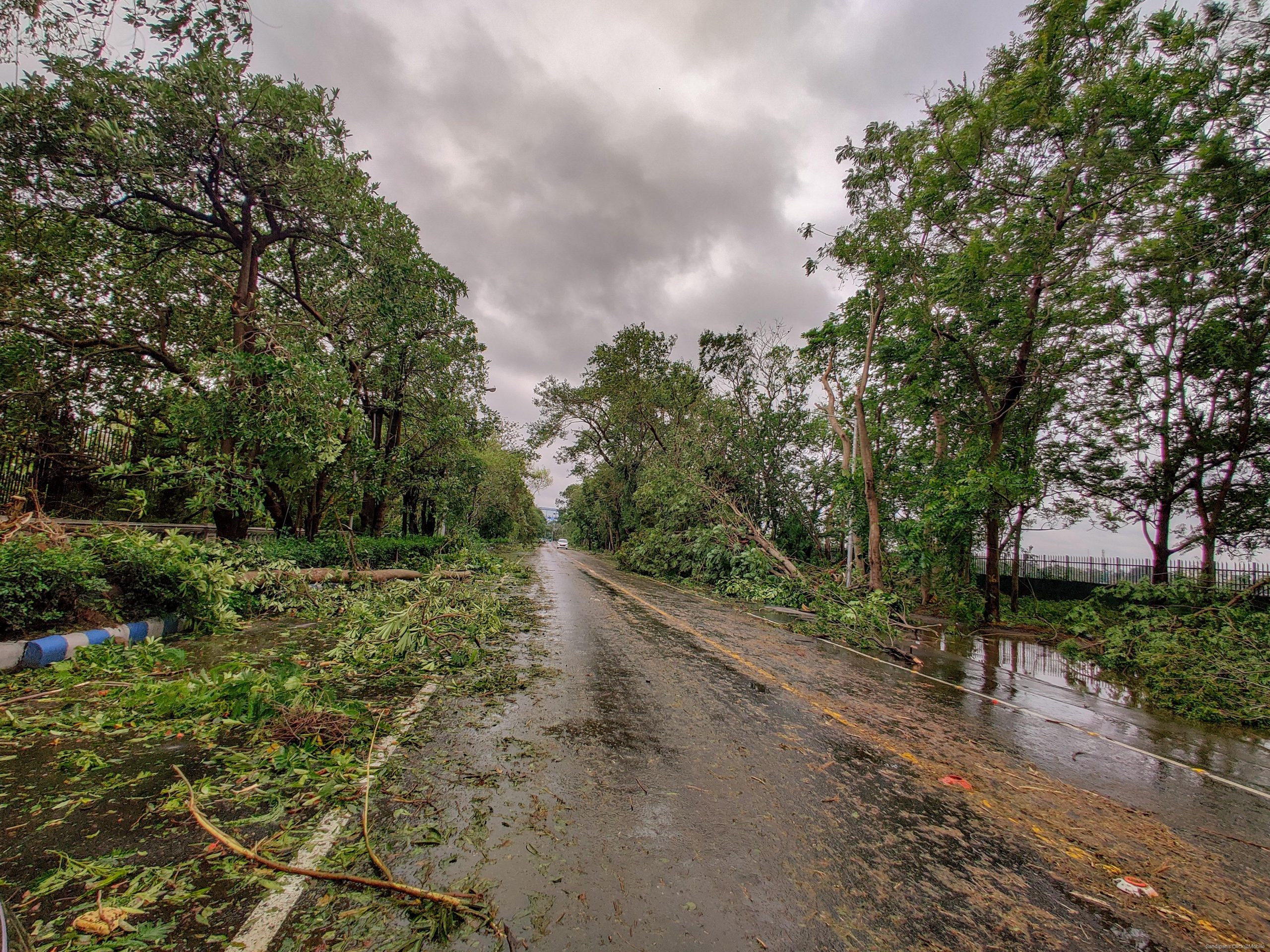 Trees fallen on road after rain storm