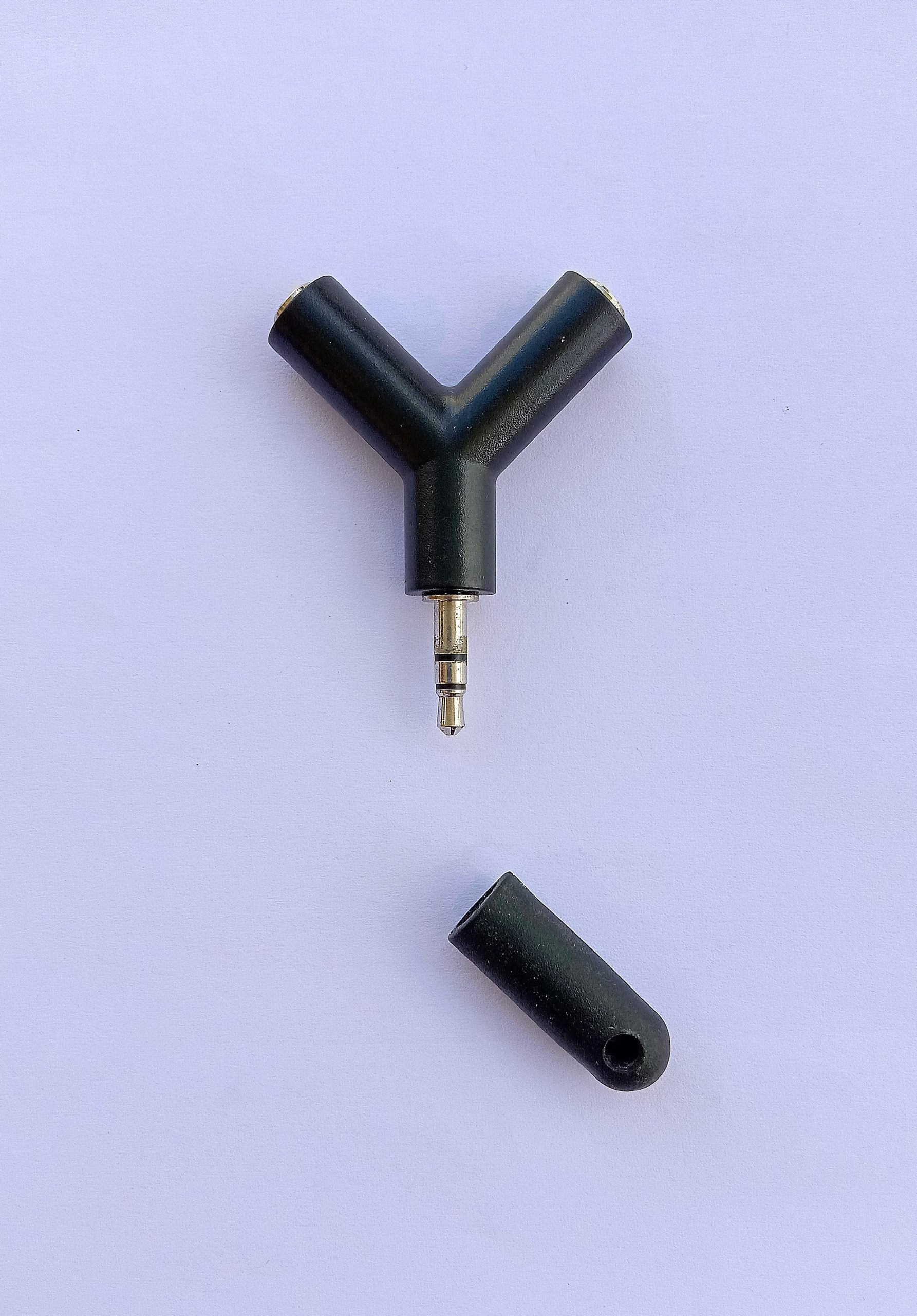 Two way ear phone adapter