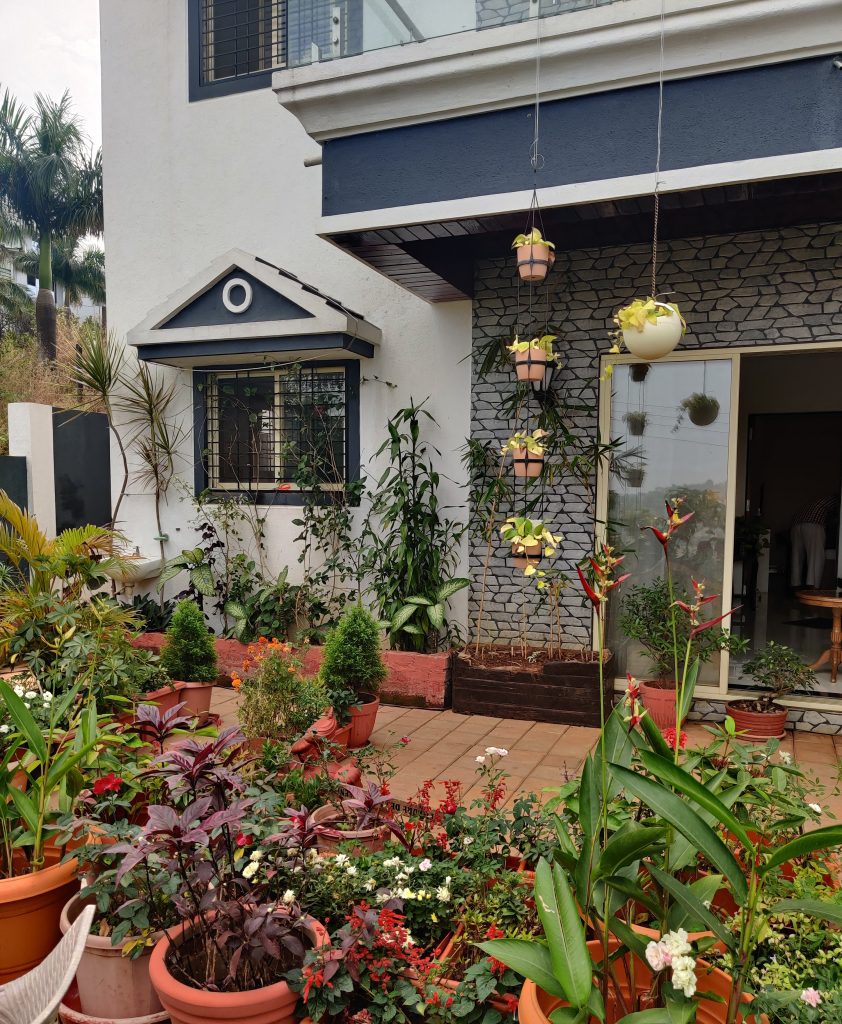 beautiful garden in a bungalow PixaHive