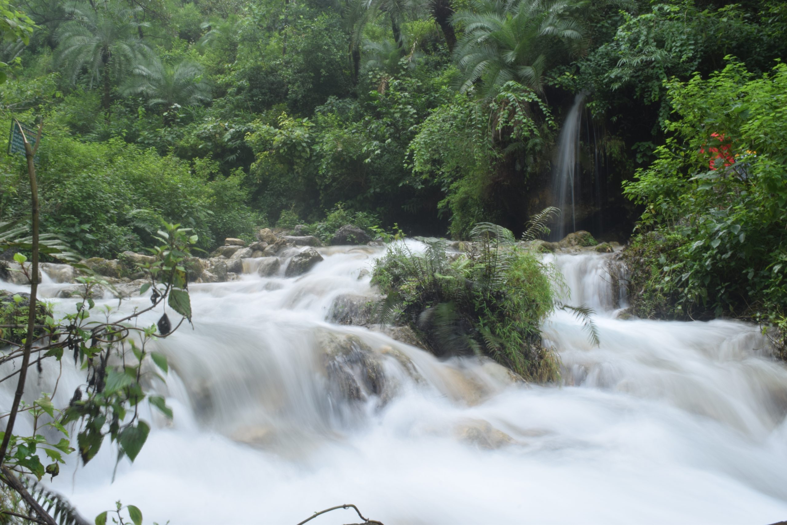 Nature Landscape