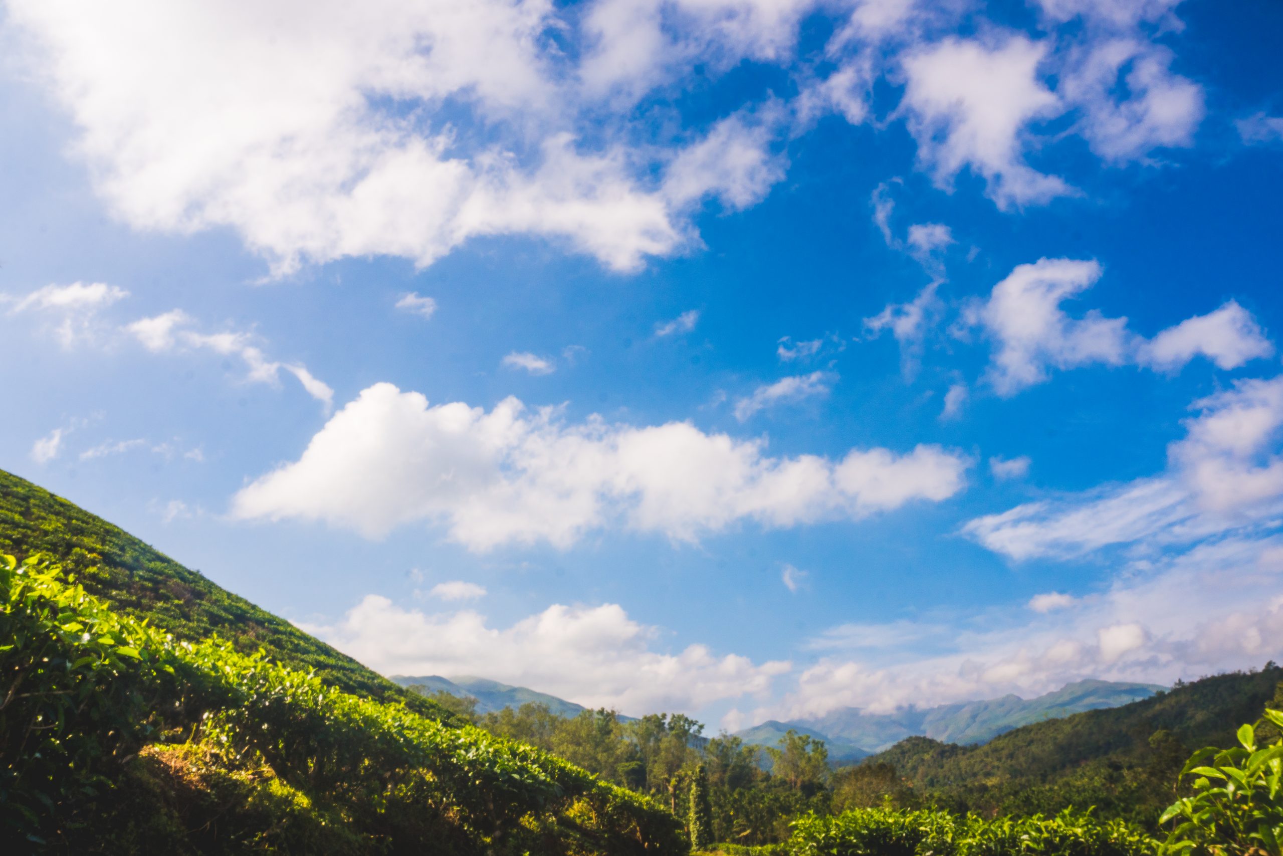 Nature Landscape