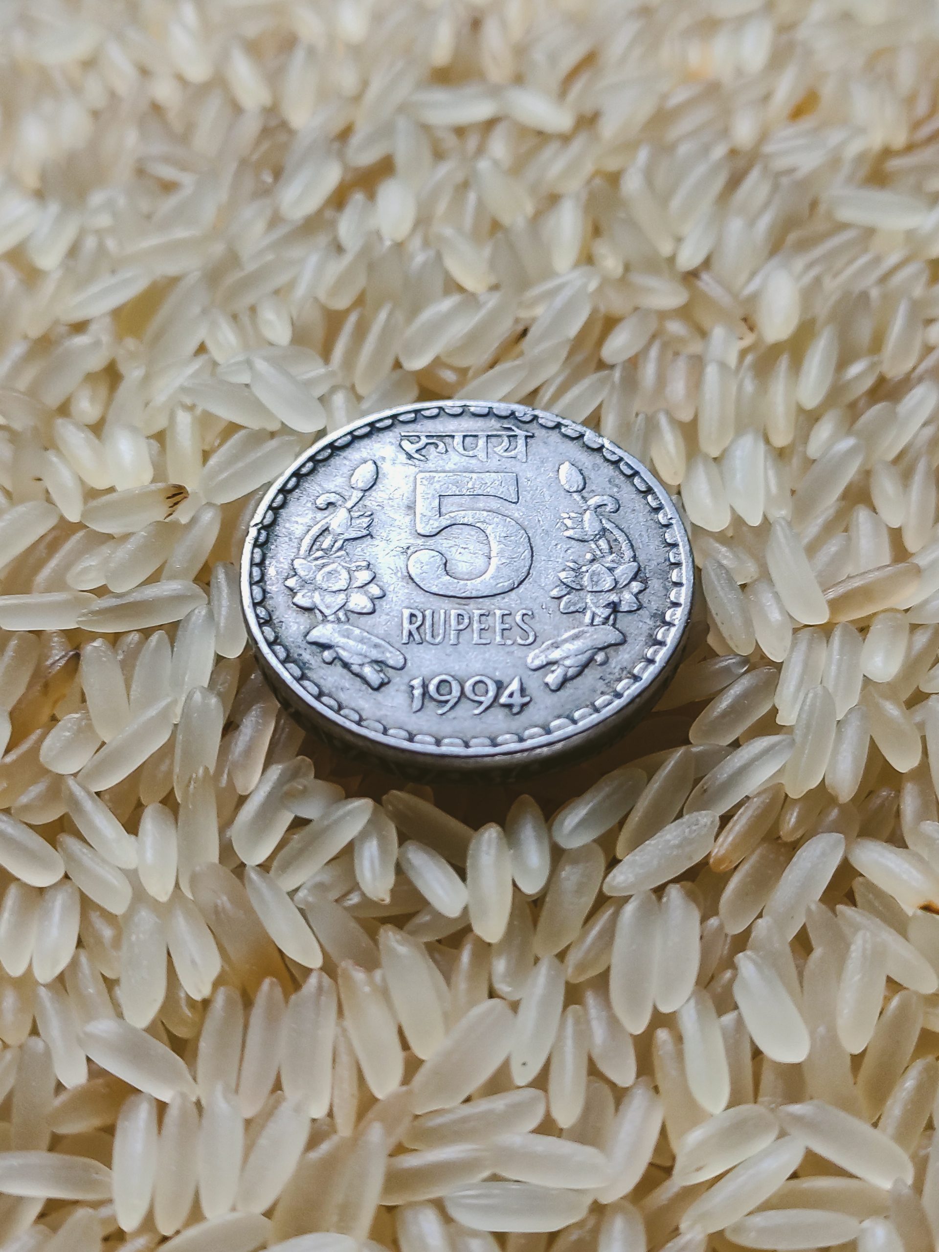 coin in rice grains
