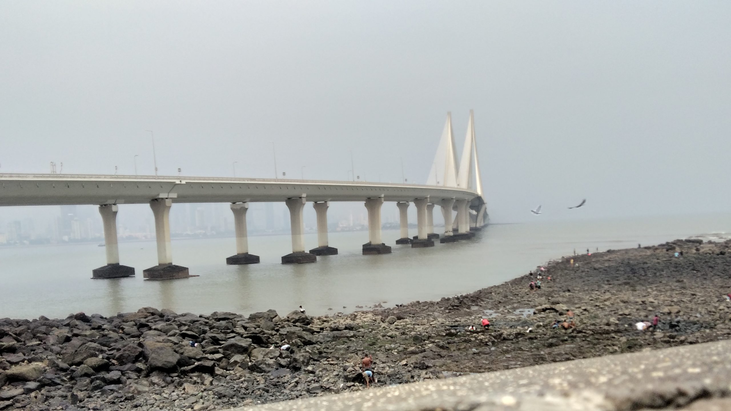 Bandra Worli sealink bridge