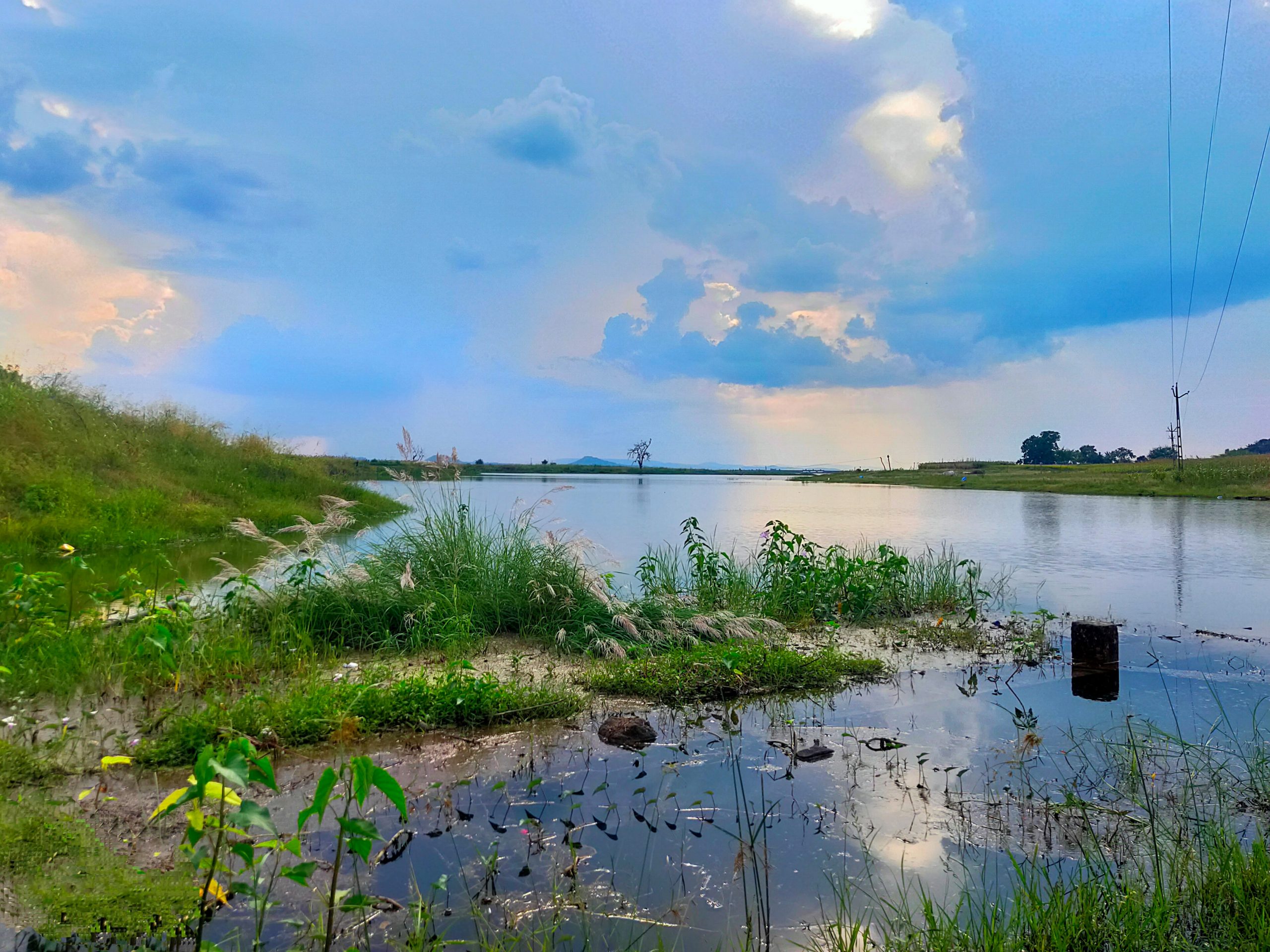 Grass and water