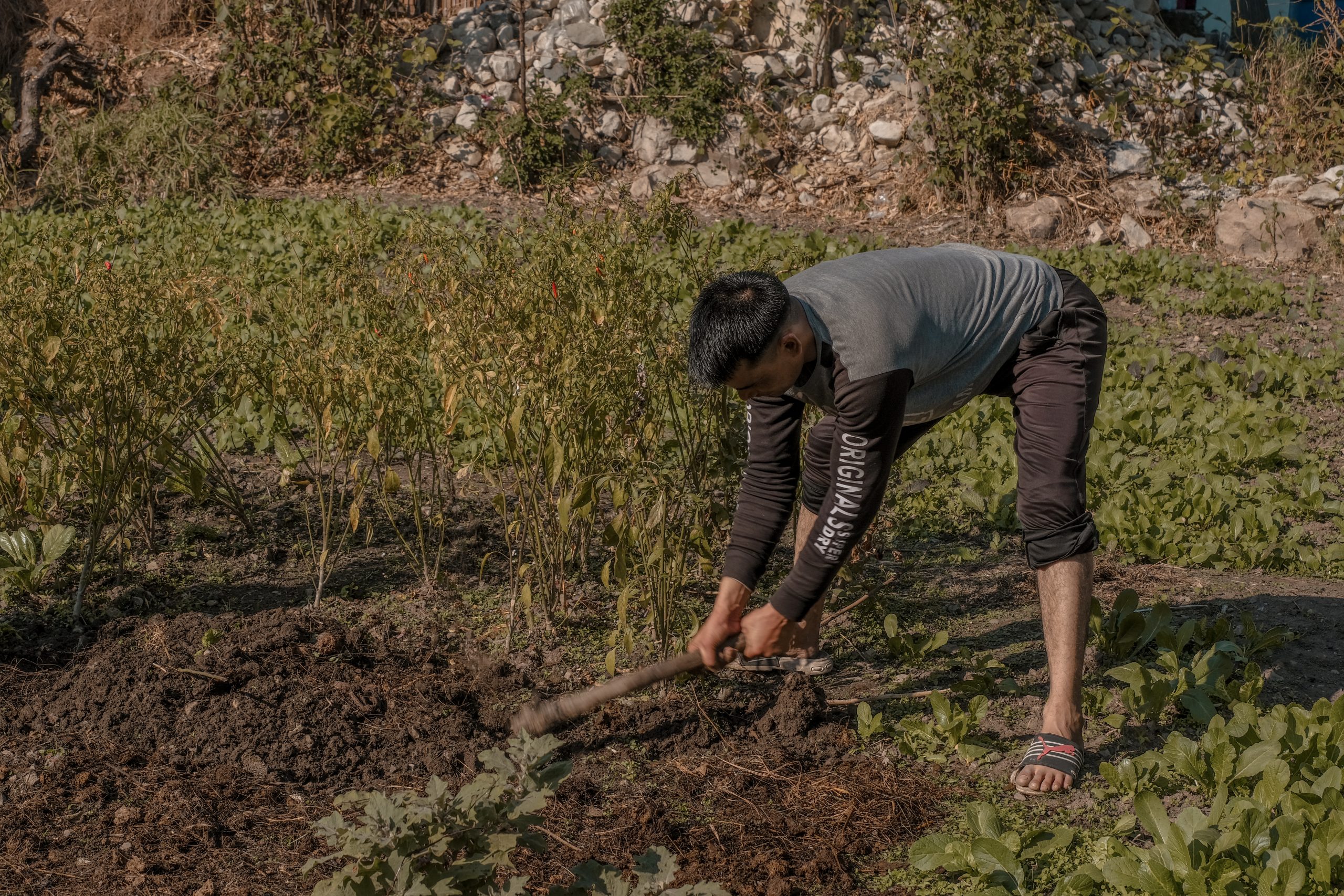 A boy working in field