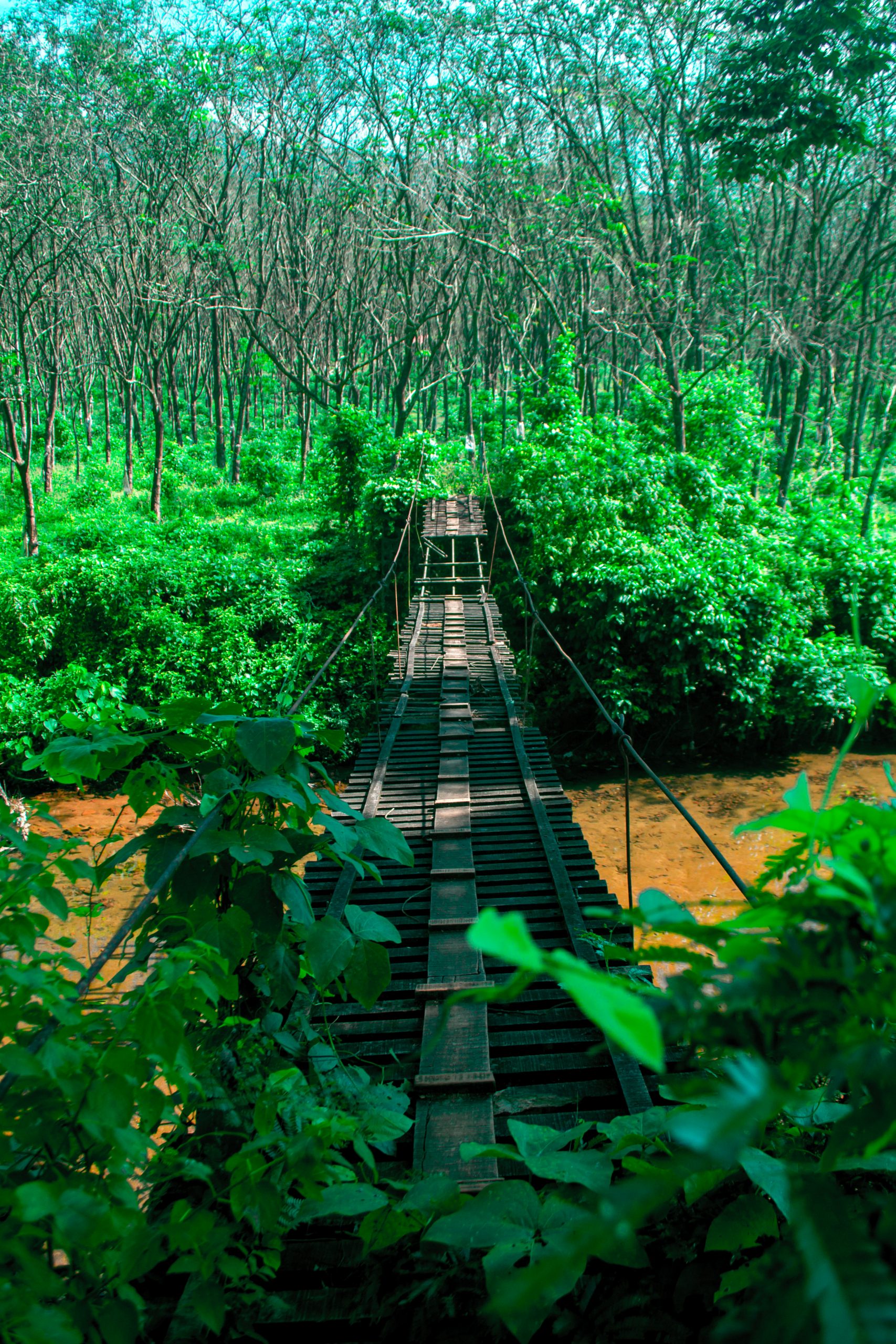 A broken foot bridge