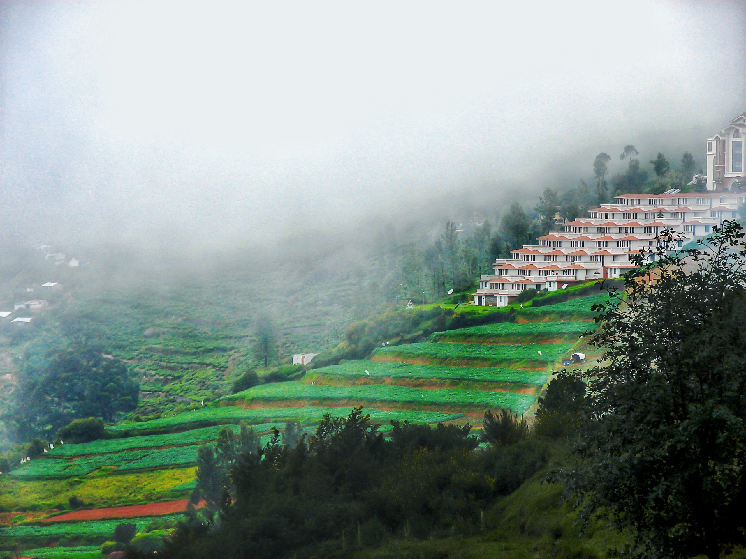 A building in Munnar hill station