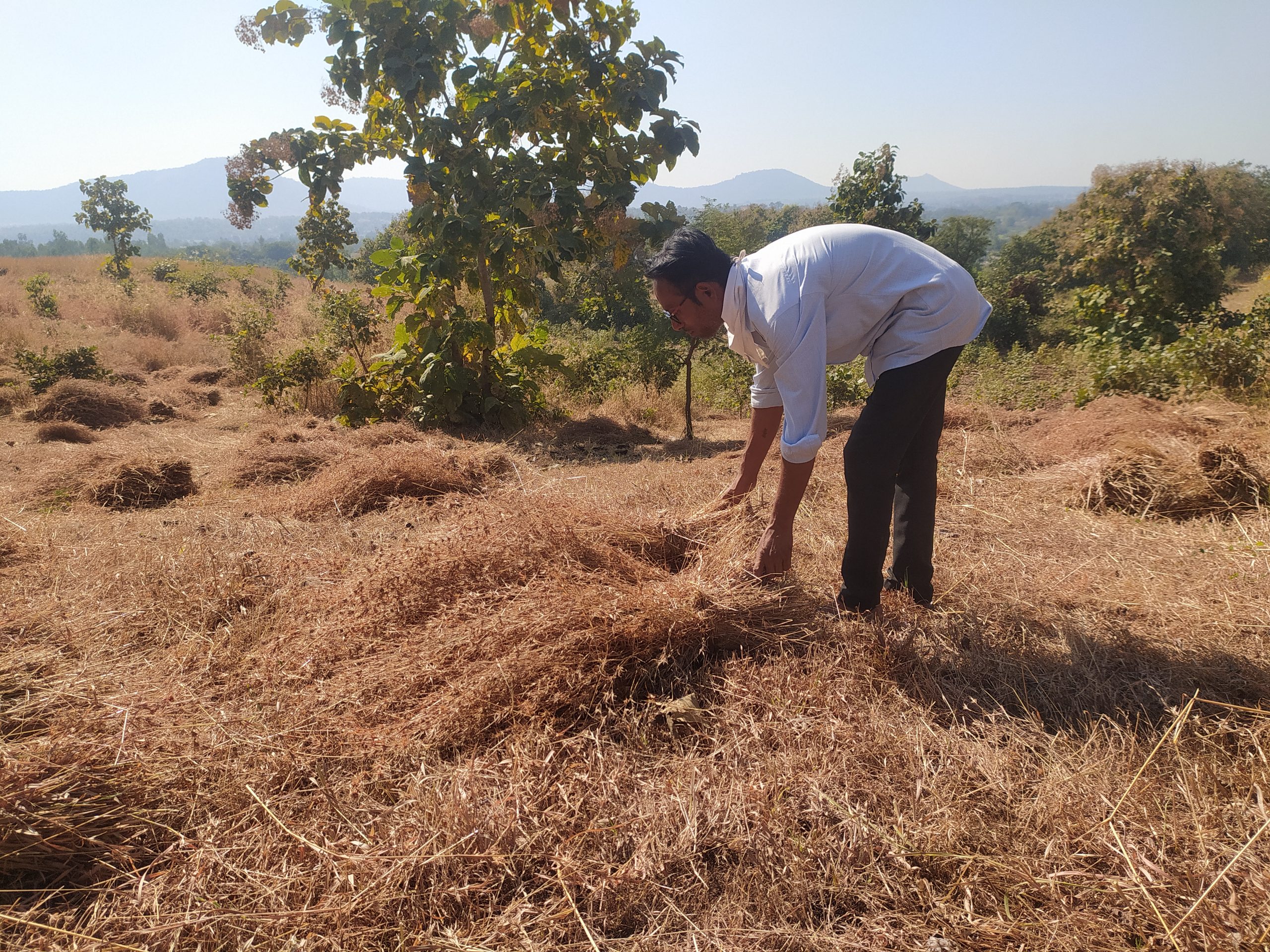 A farmer collecting the grass