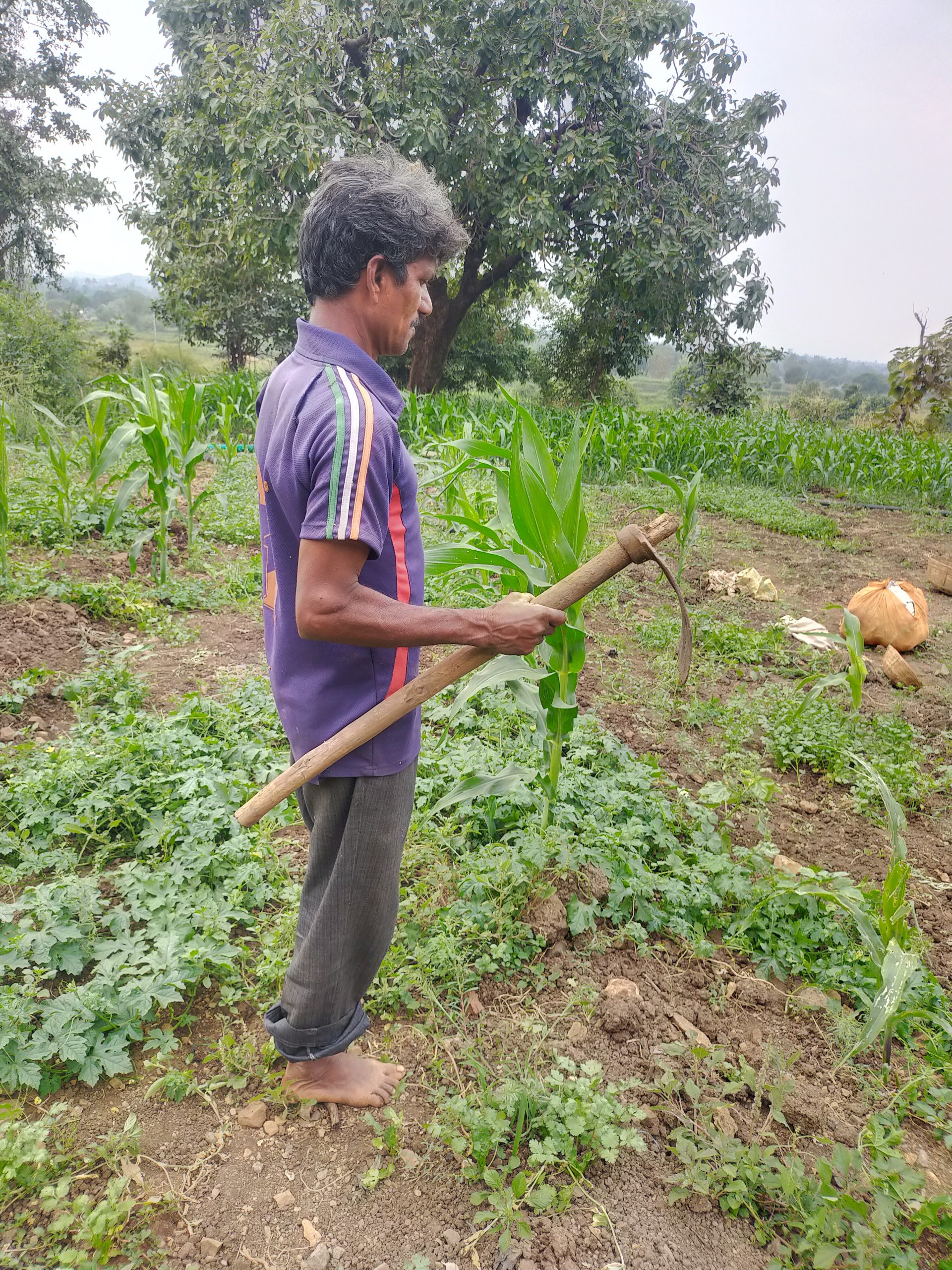 Farmer at work