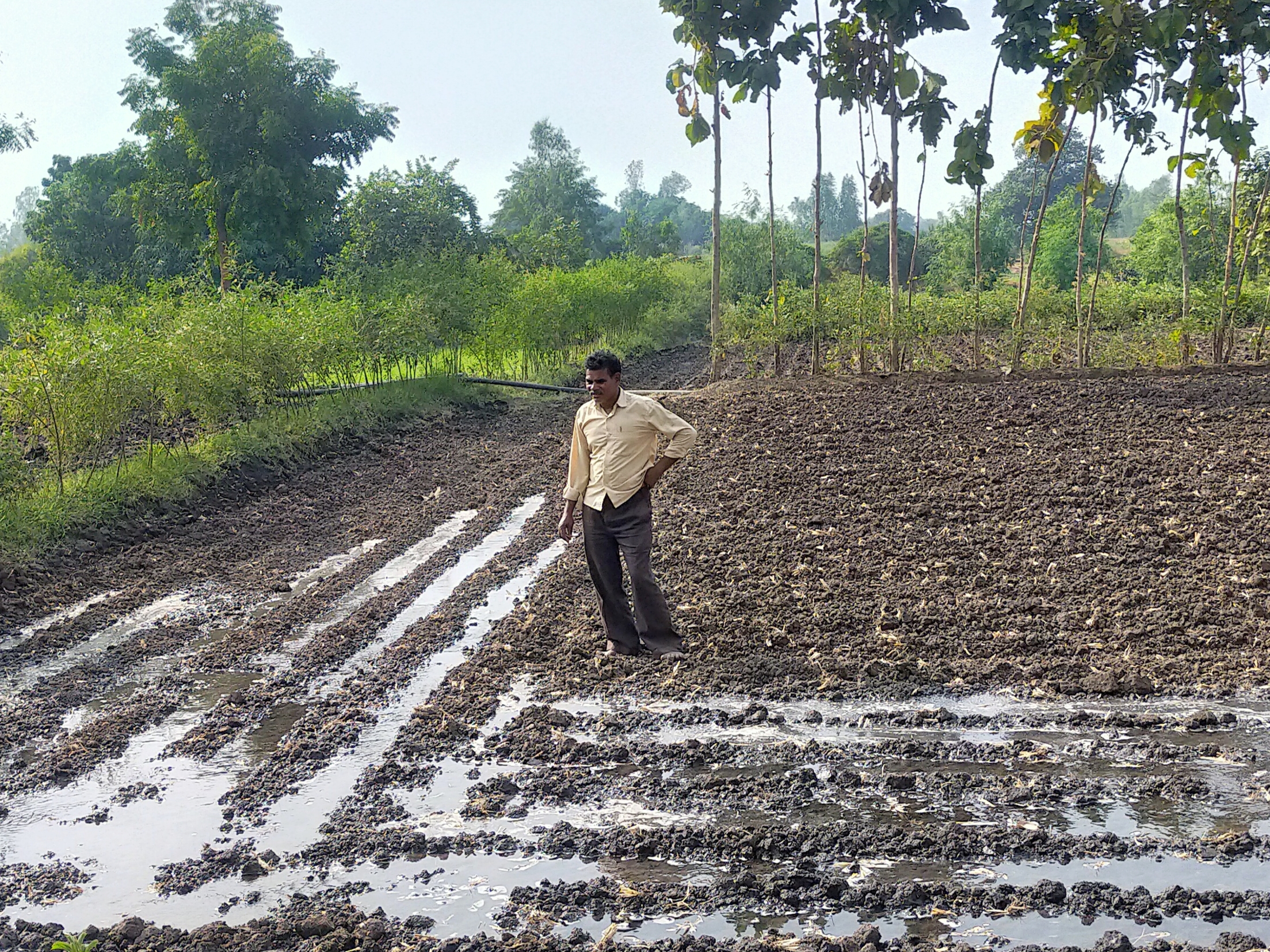 A farmer in a muddy field