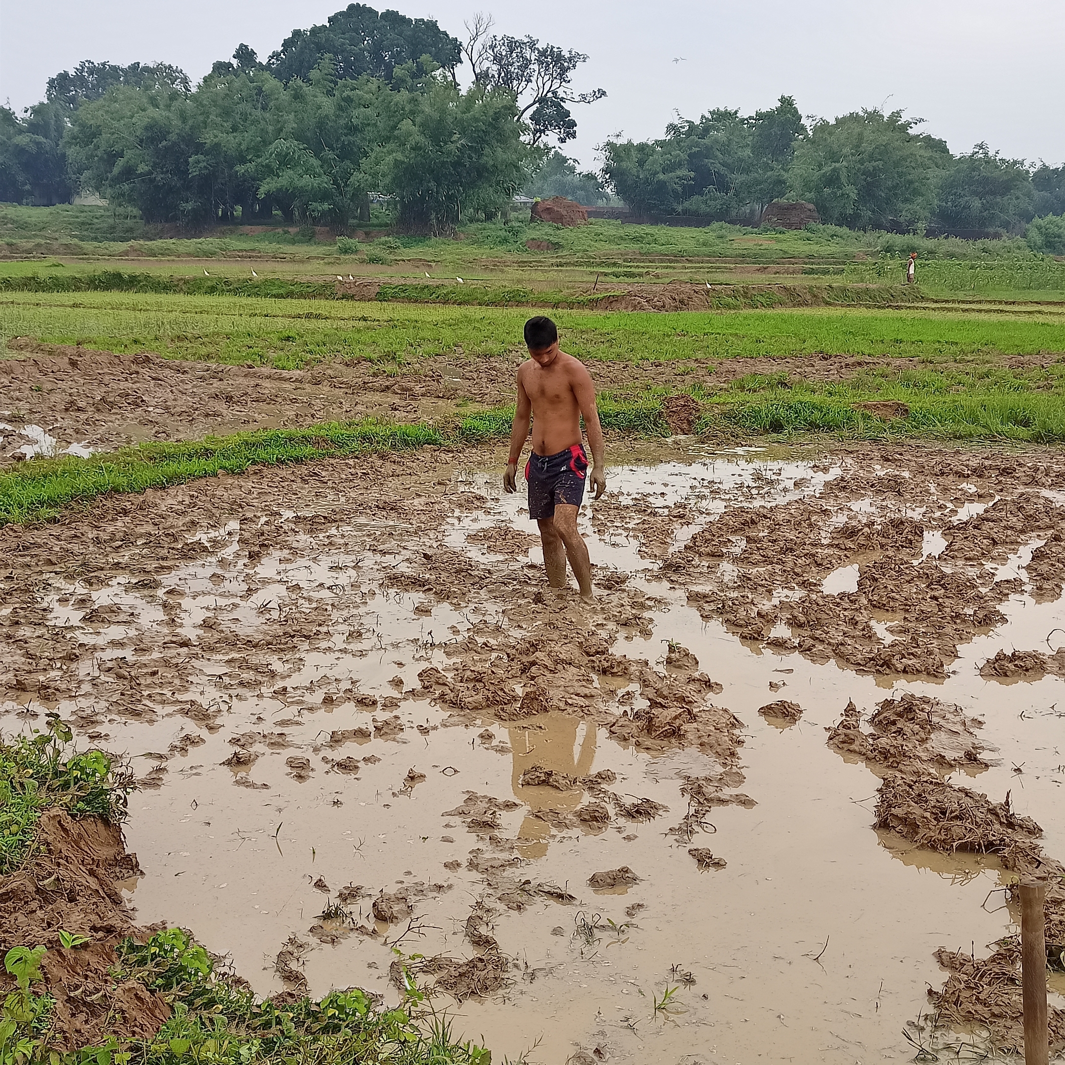 A farmer in muddy field