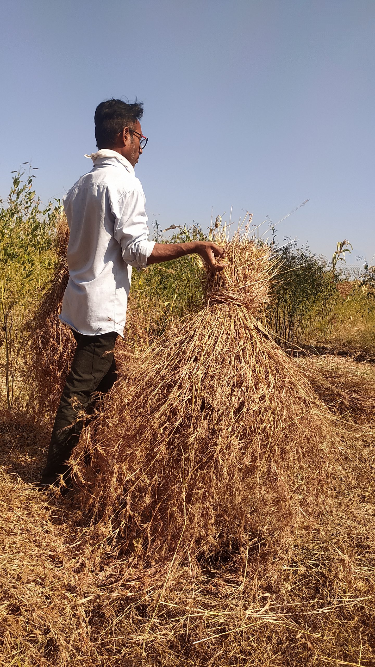 A farmer near a heap of crops