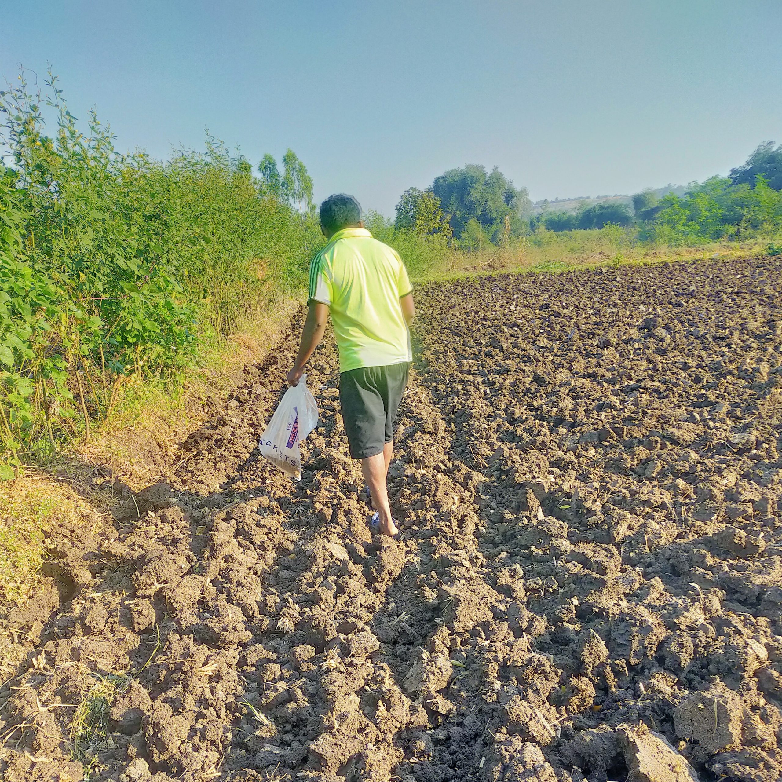 A farmer sowing the seeds