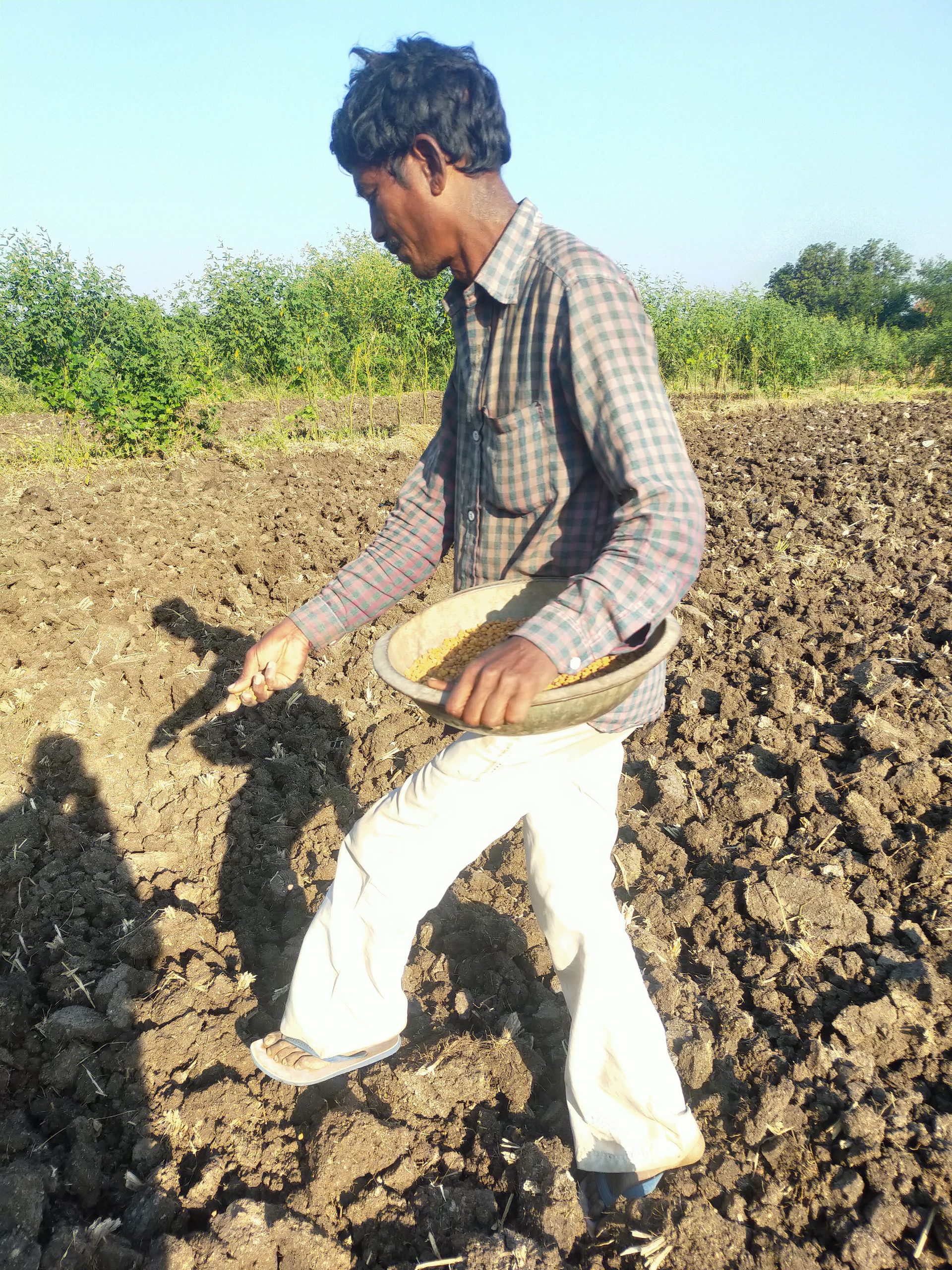 Farmer in the field