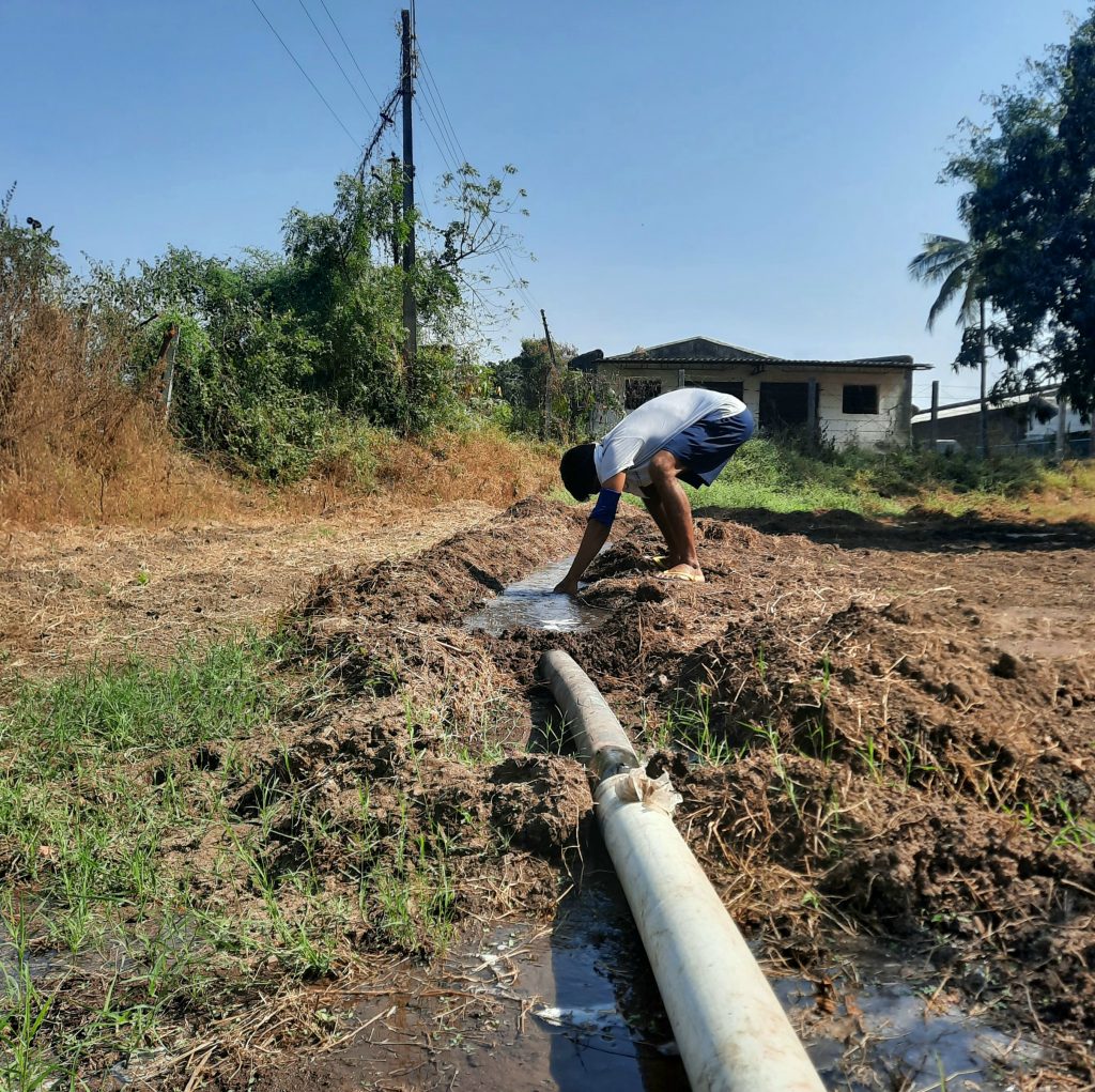 A farmer watering his fields - PixaHive