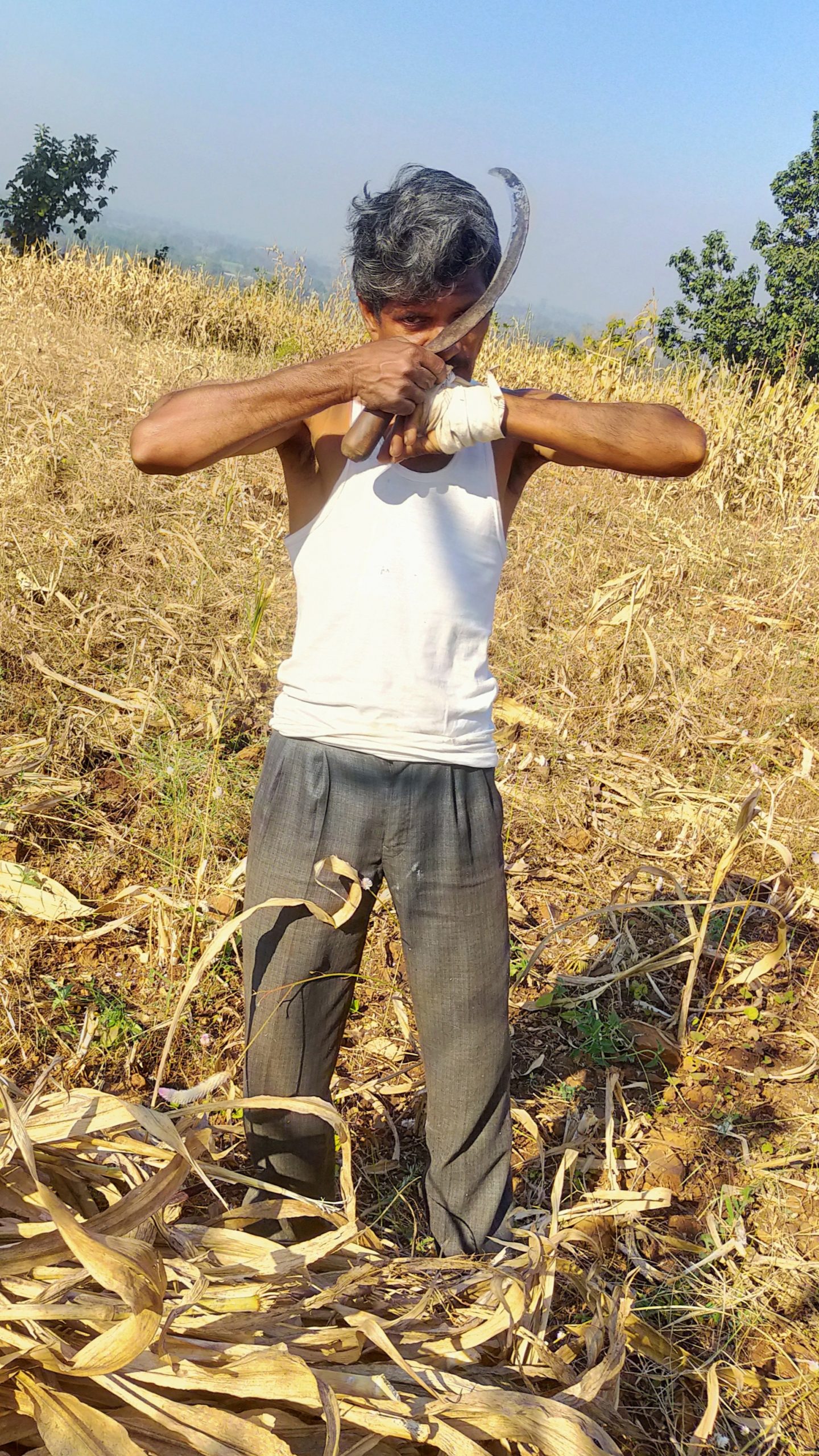 A farmer with sickle