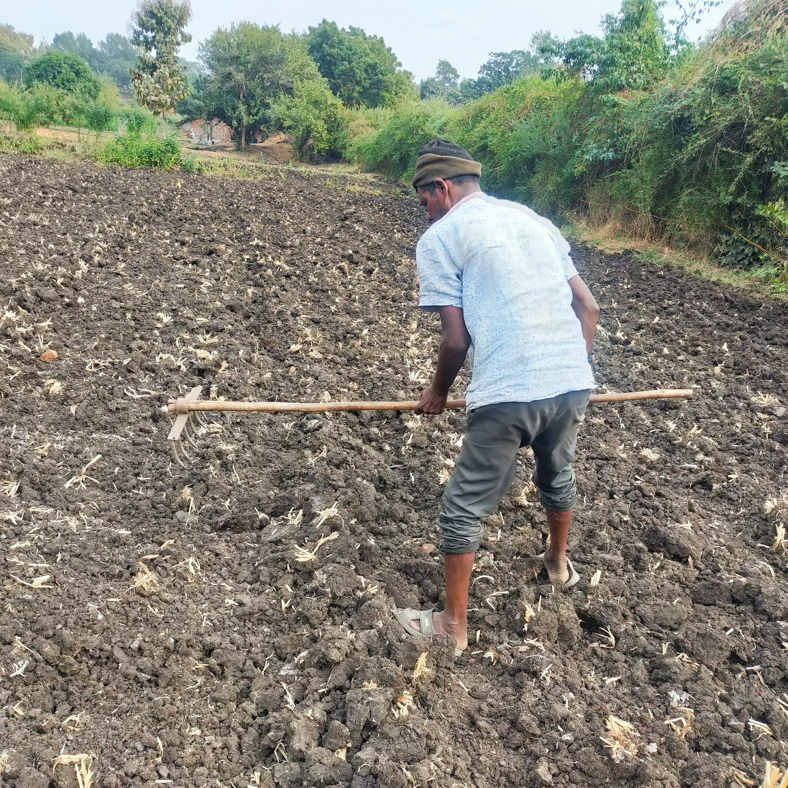 farmer working in the field