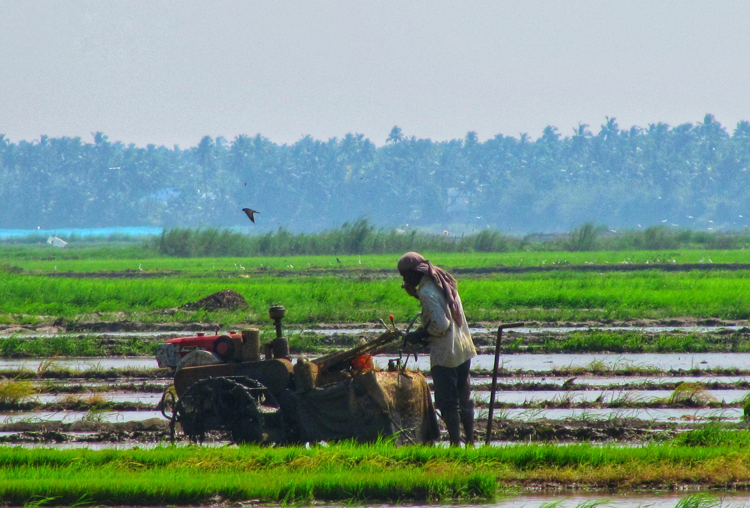 A Farmer Working In A Field PixaHive