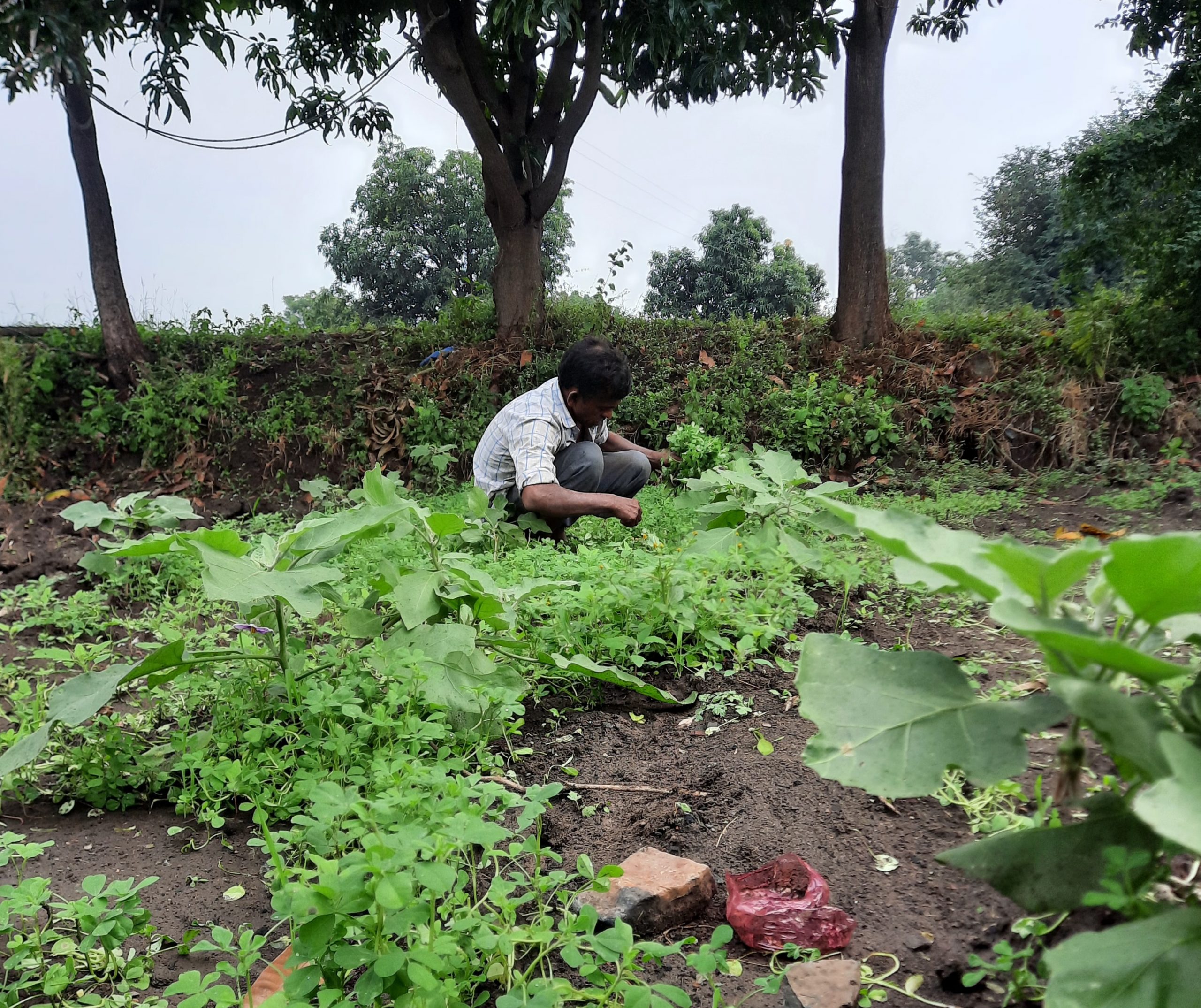 A farmer working in a field