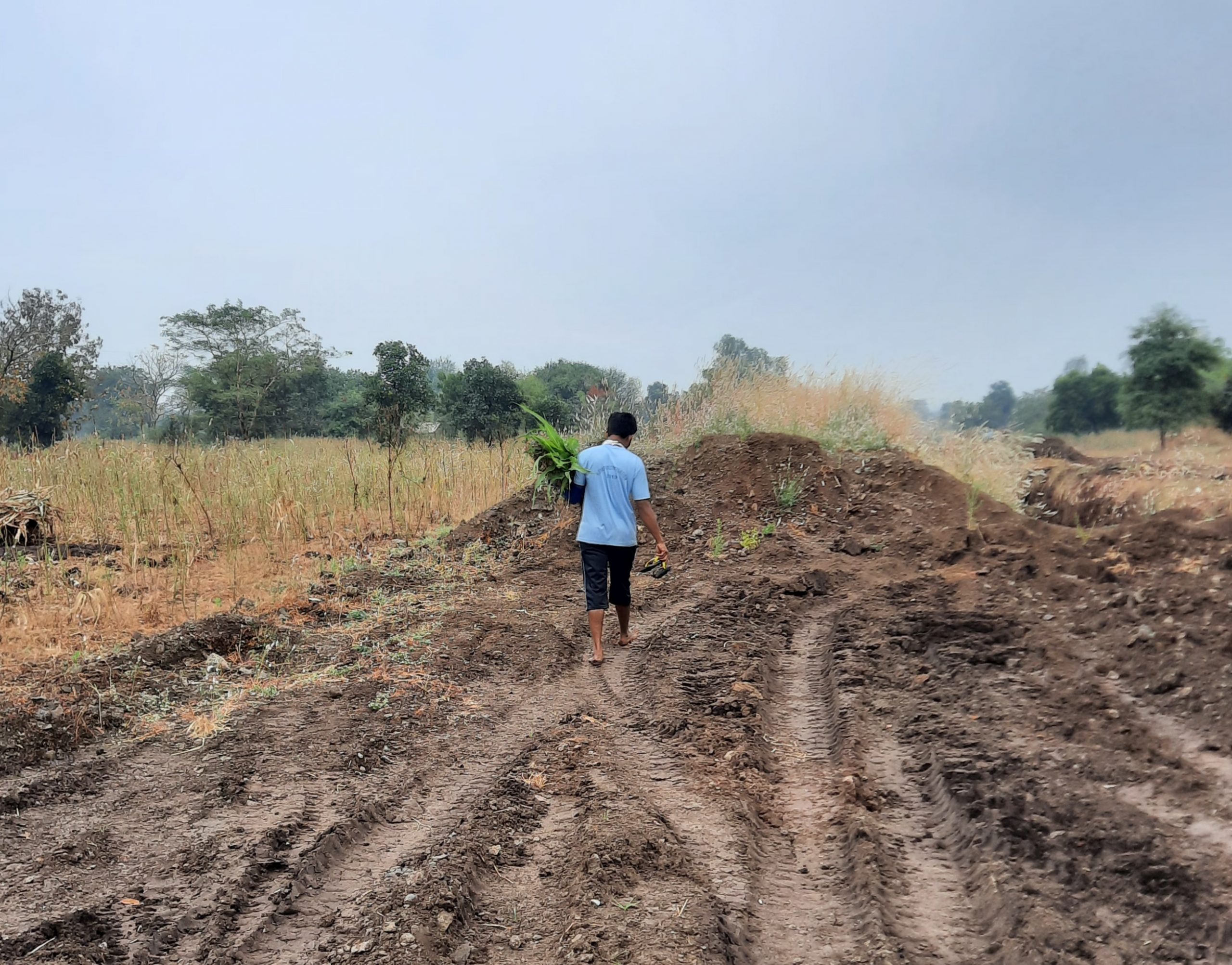 A farmer working in field