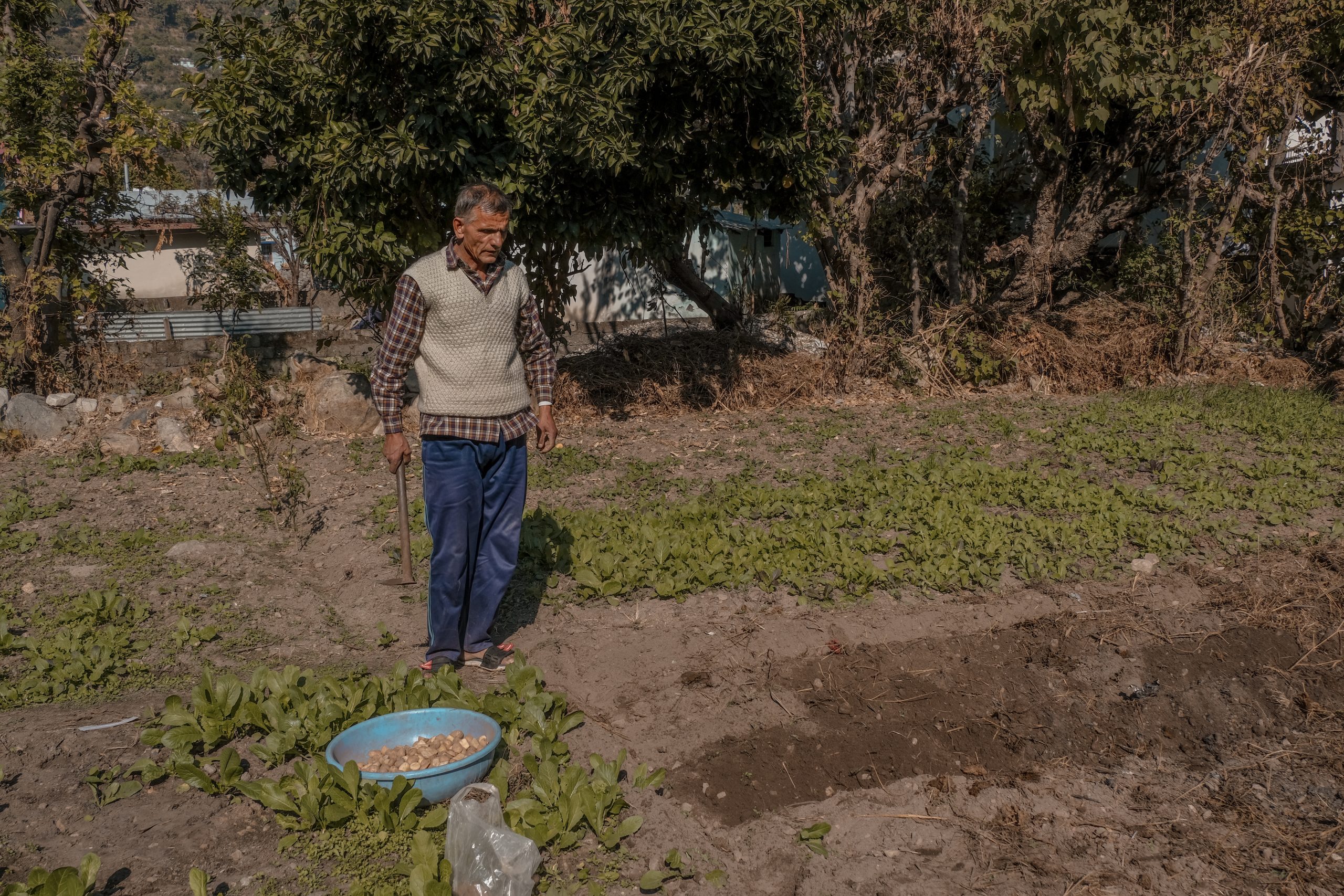 A farmer working in fields